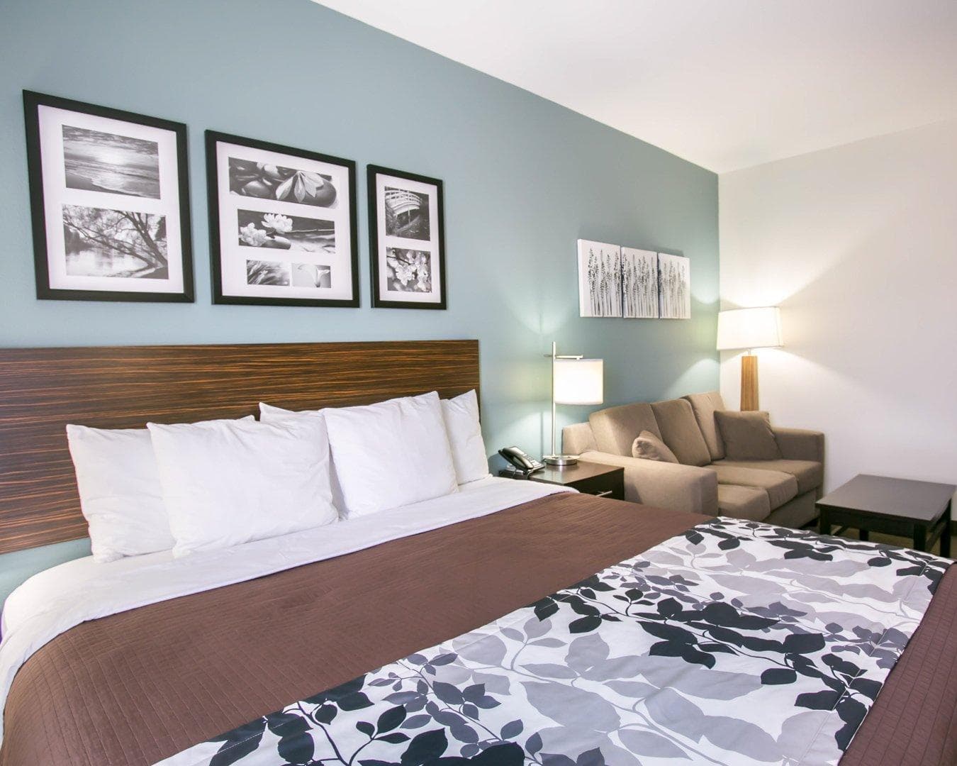 Sleep Inn & Suites Austin North-Pflugerville — 27