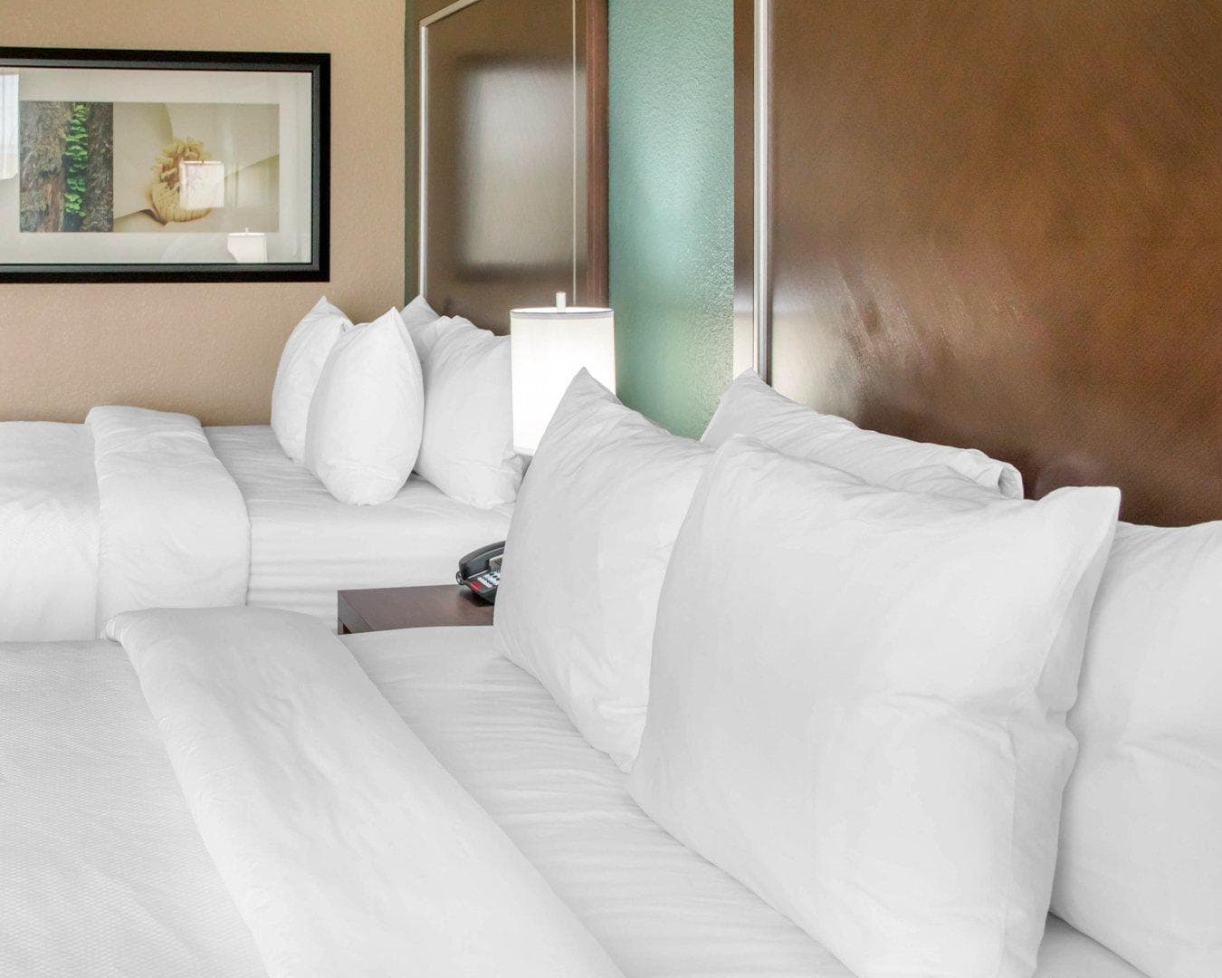 Comfort Inn & Suites San Marcos near Outlet Mall — 12