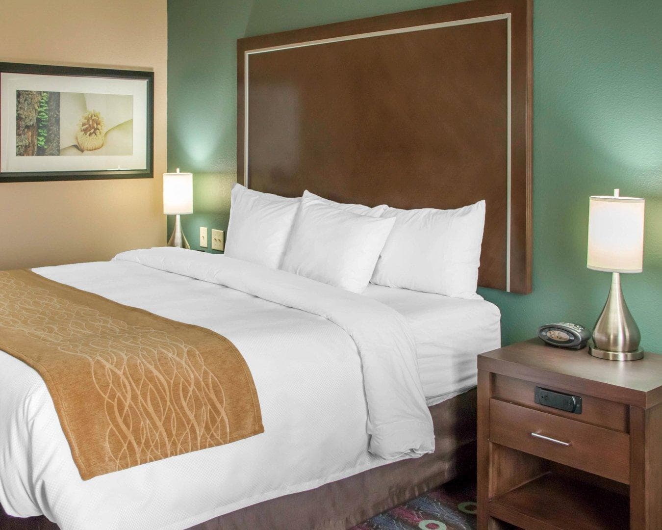 Comfort Inn & Suites San Marcos near Outlet Mall - Image 3