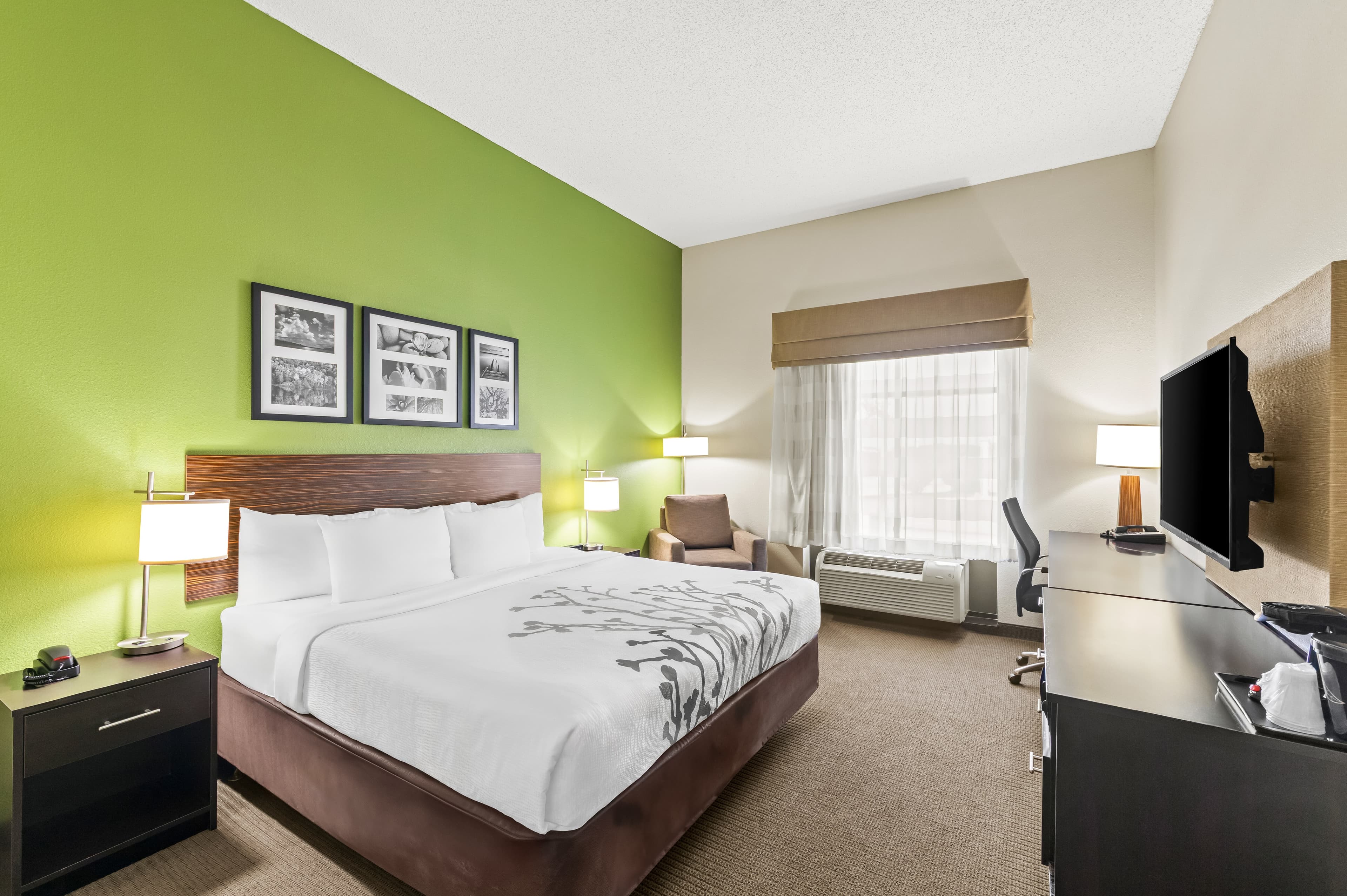 Sleep Inn & Suites Dripping Springs - Austin Area - Image 2