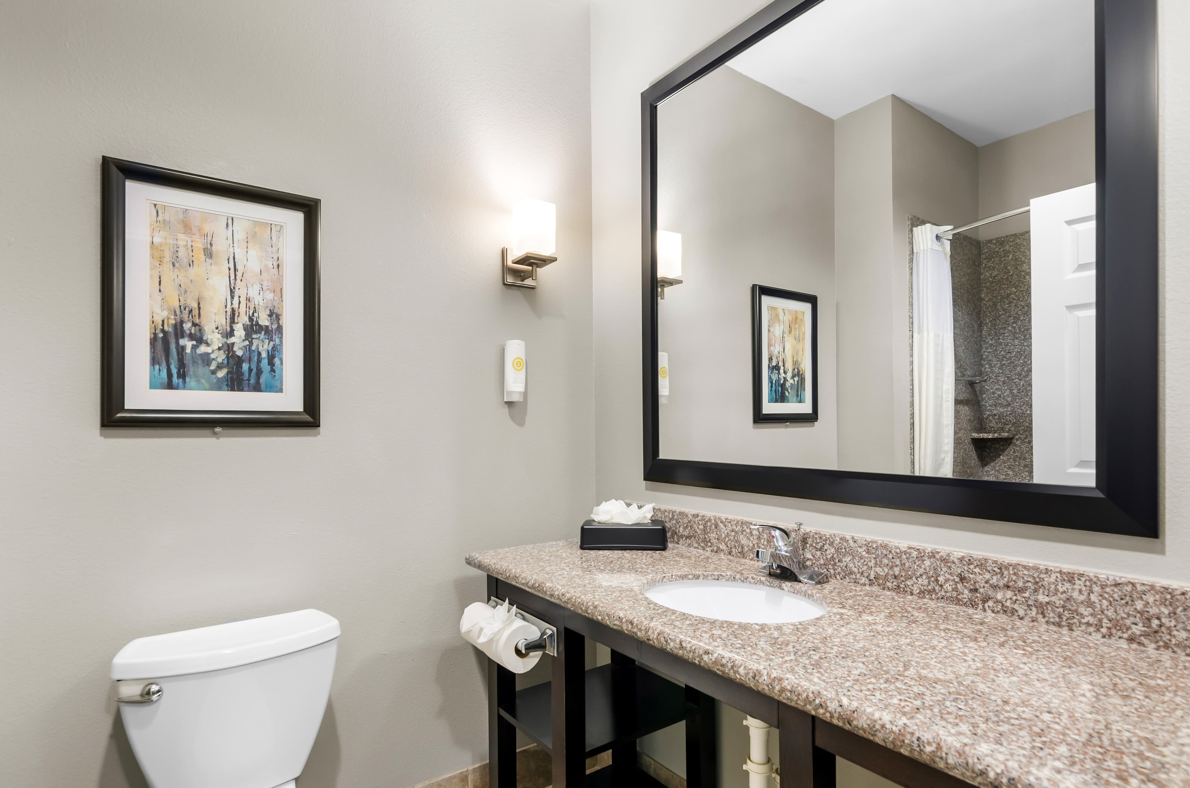 Comfort Suites at Katy Mills — 19