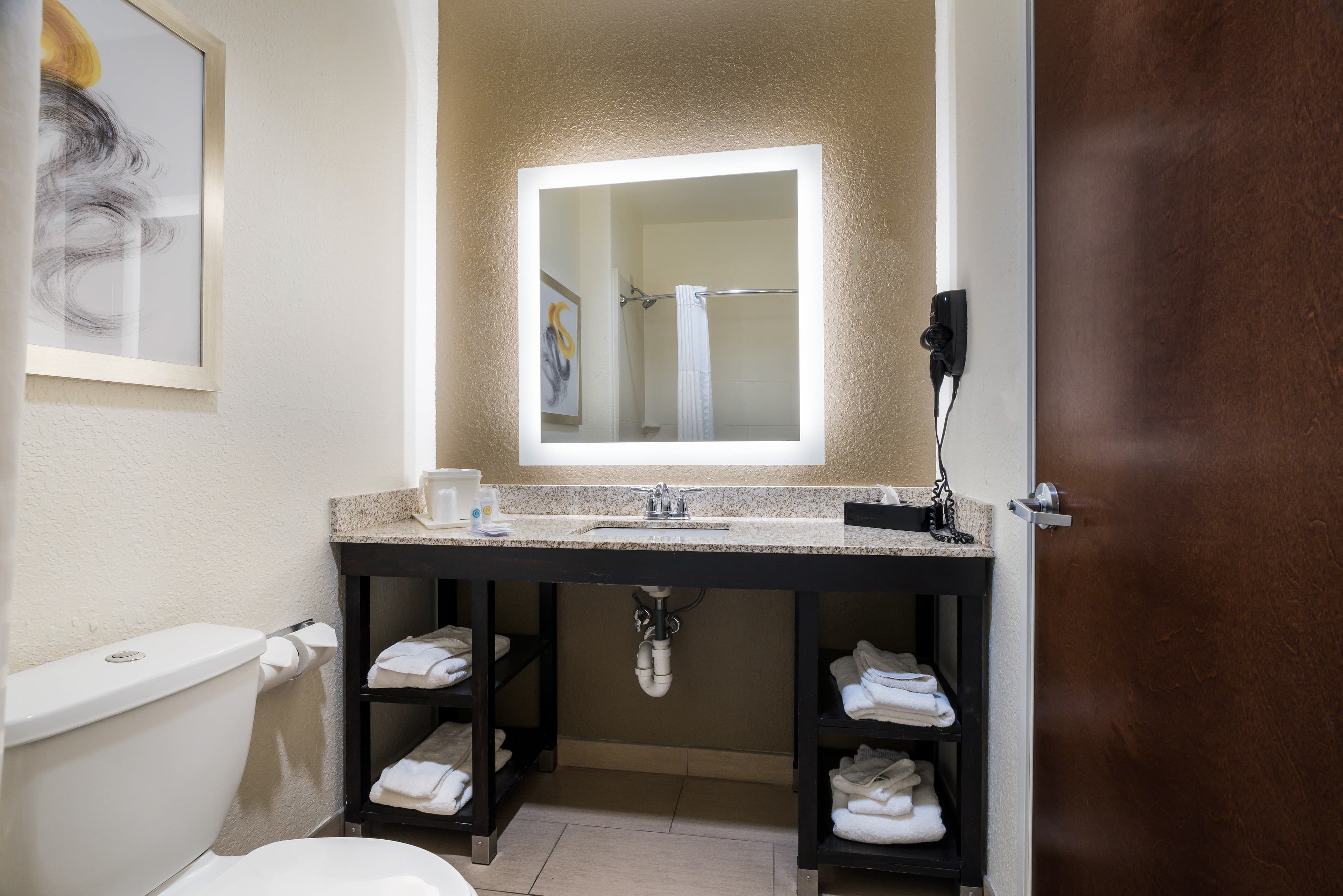 Comfort Inn & Suites Victoria North — 10
