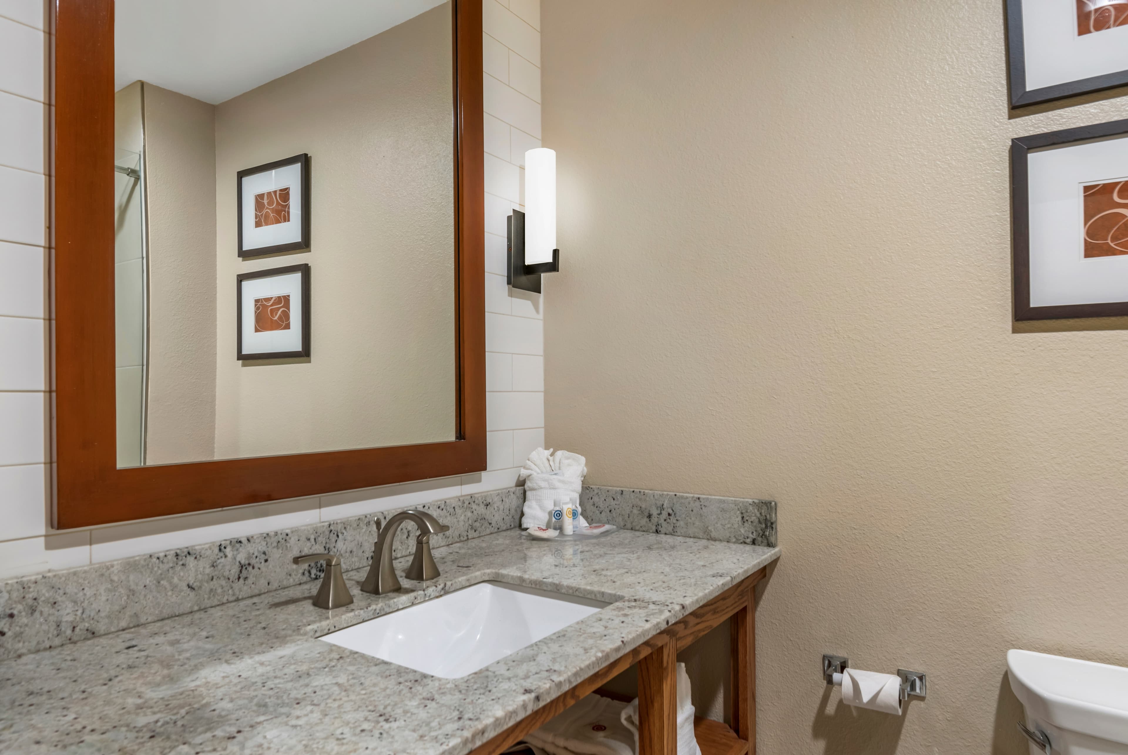 Comfort Suites University — 17