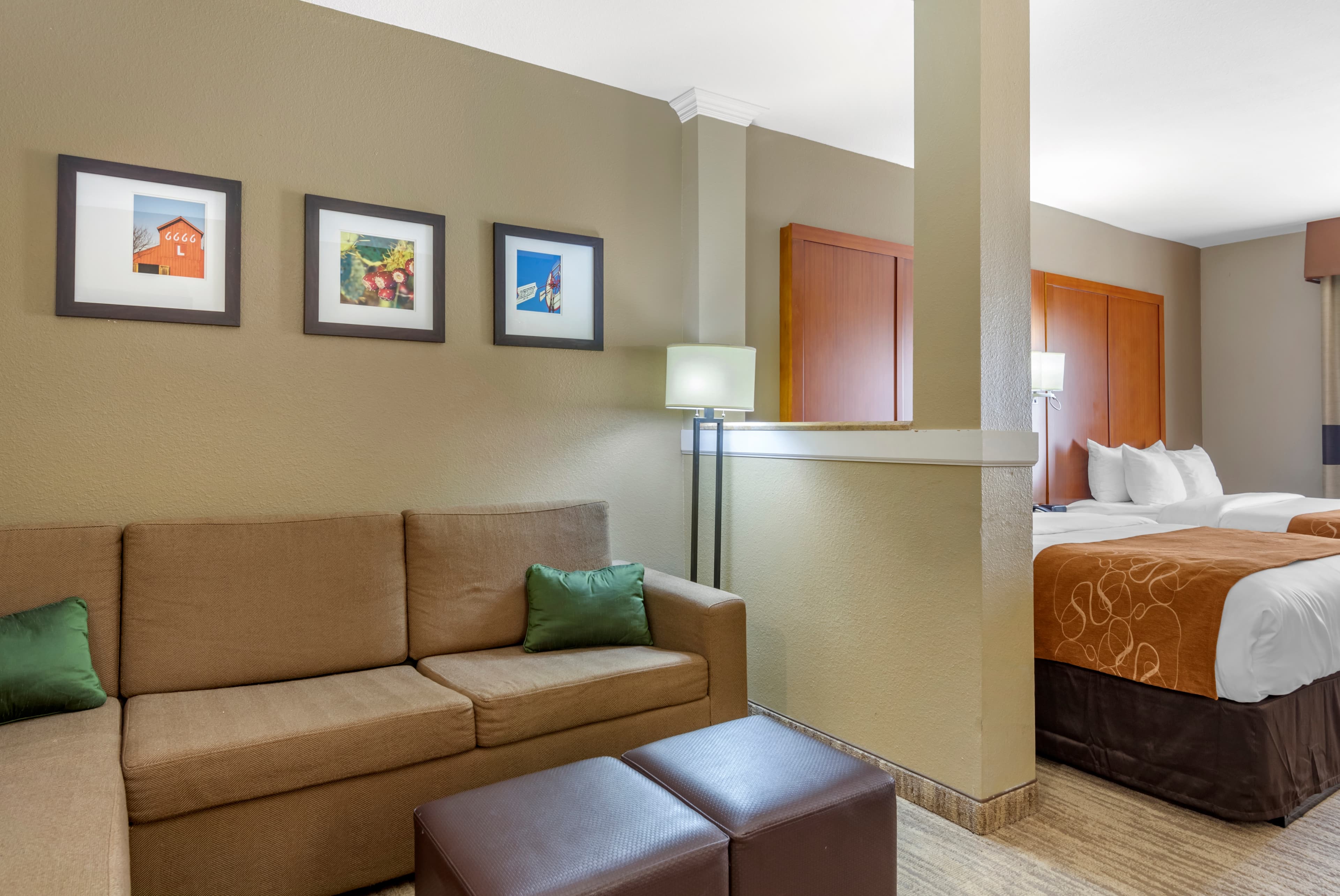 Comfort Suites University — 18