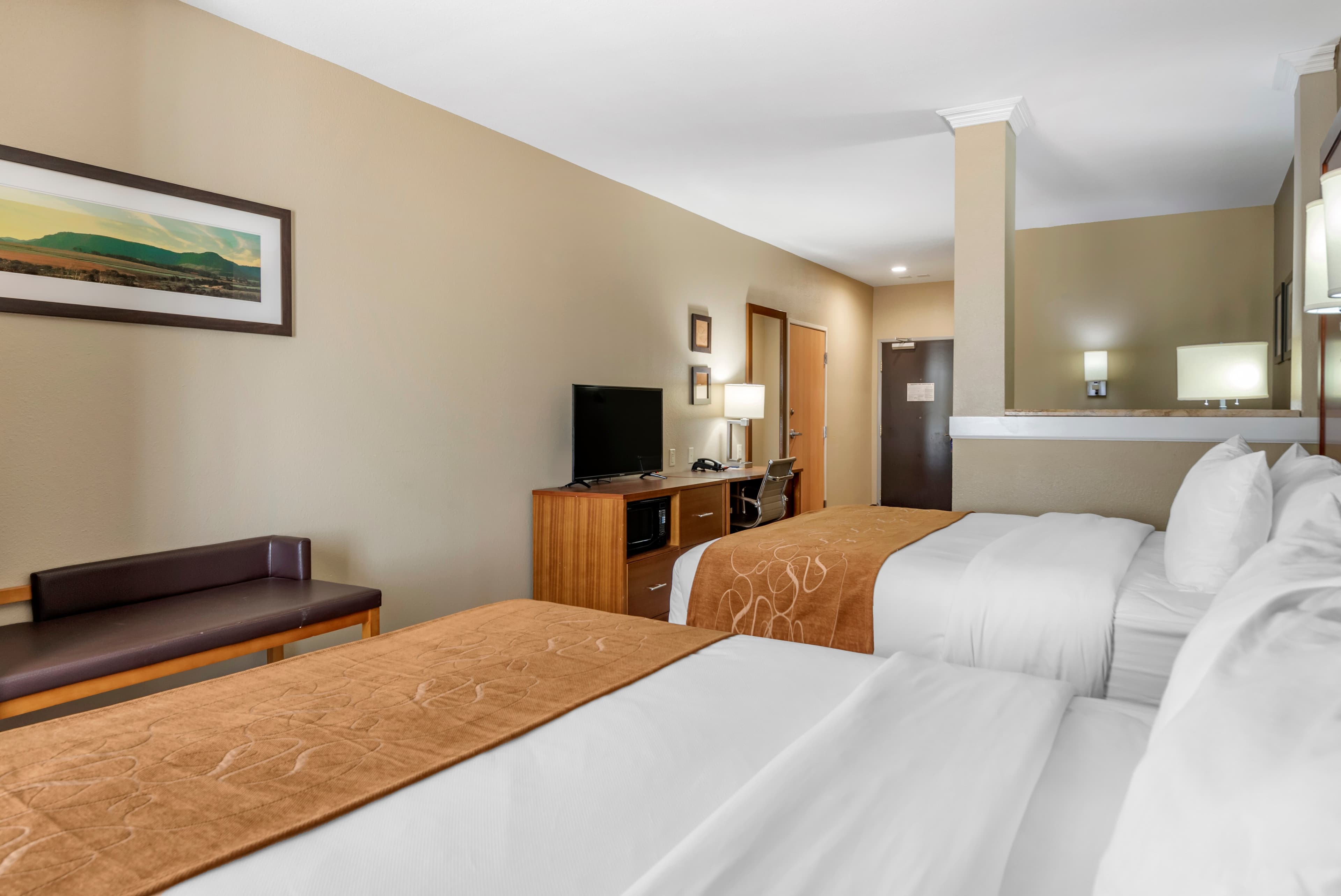 Comfort Suites University — 19