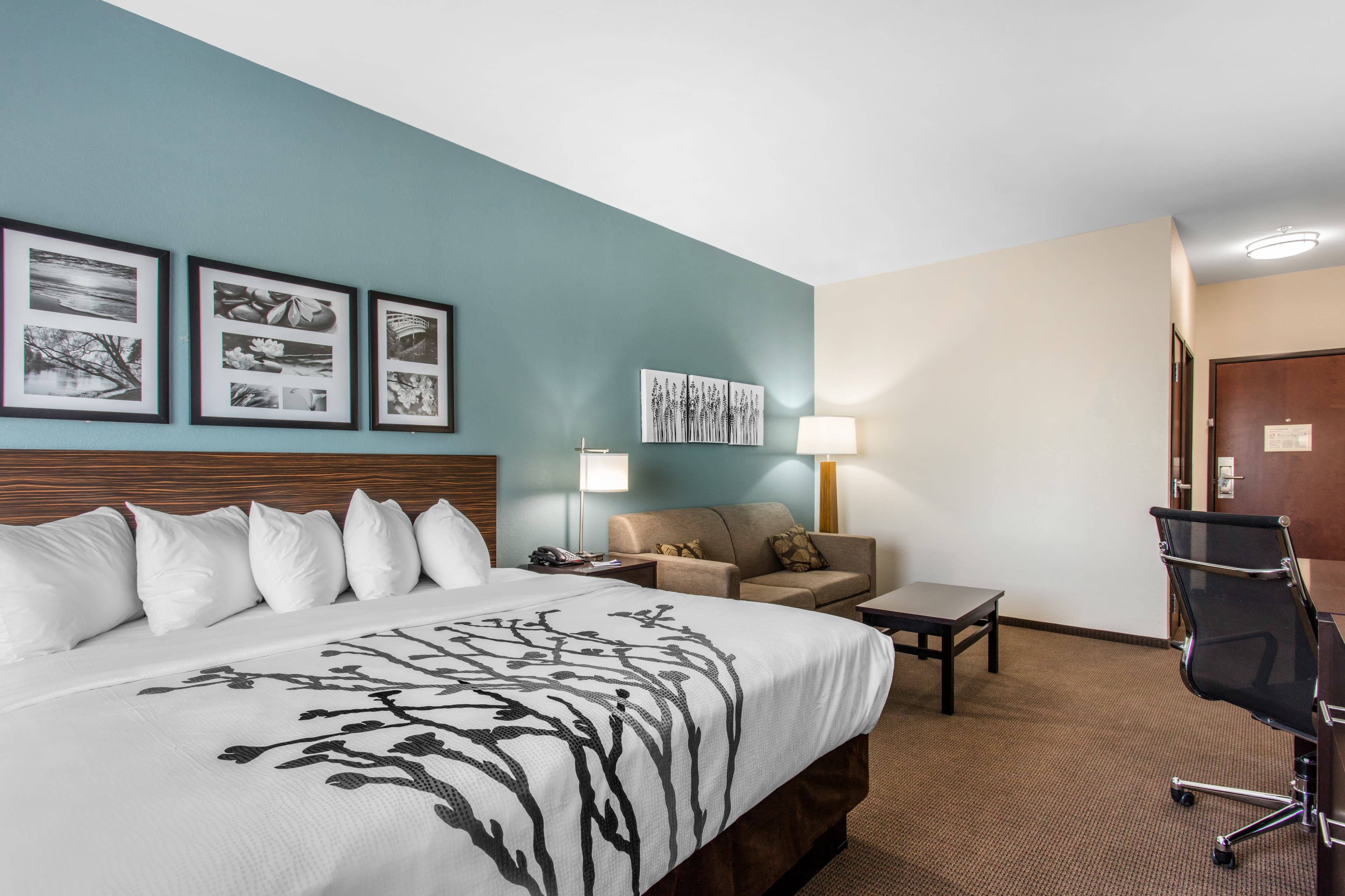 Sleep Inn Big Spring North I-20 — 13