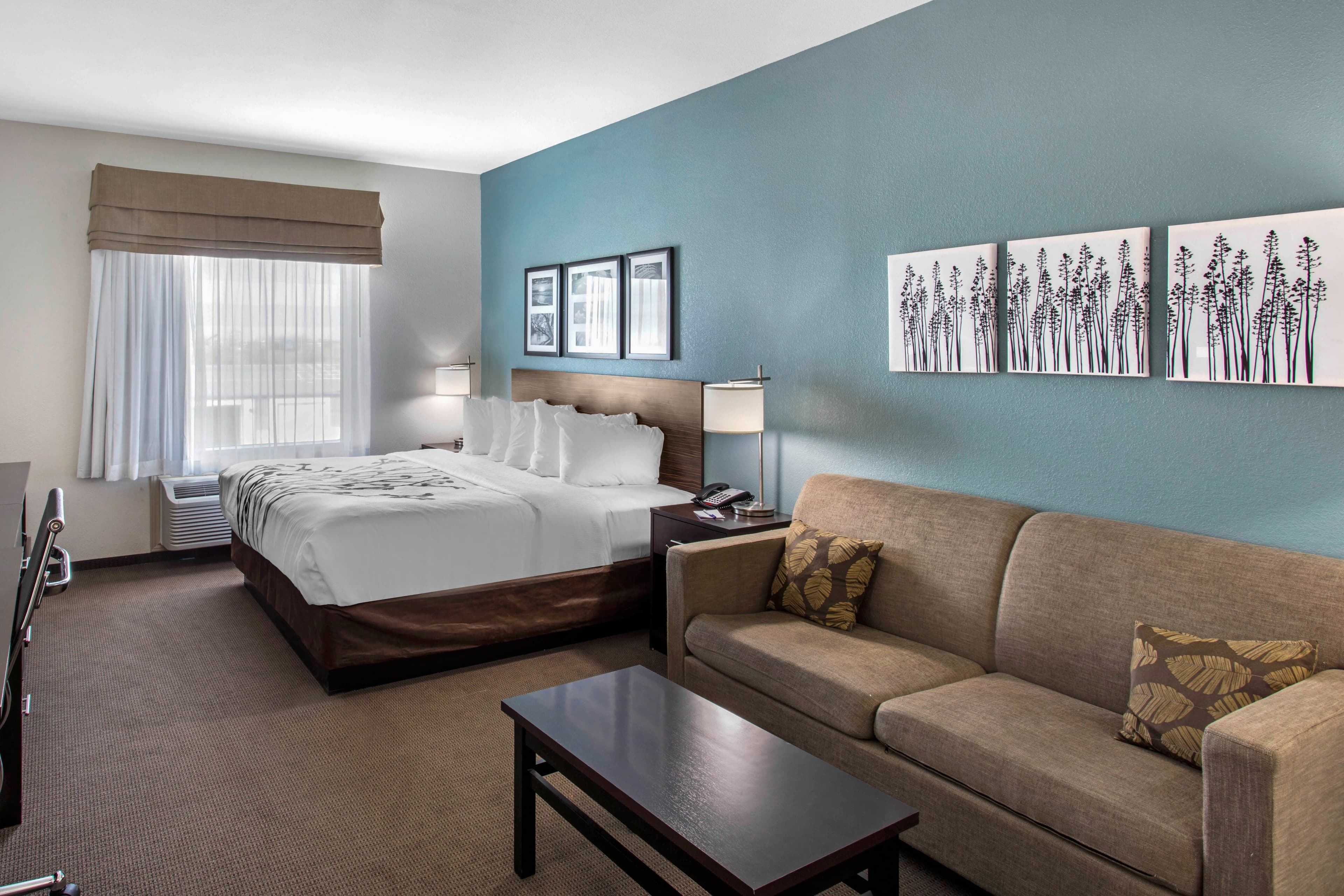 Sleep Inn Big Spring North I-20 — 14