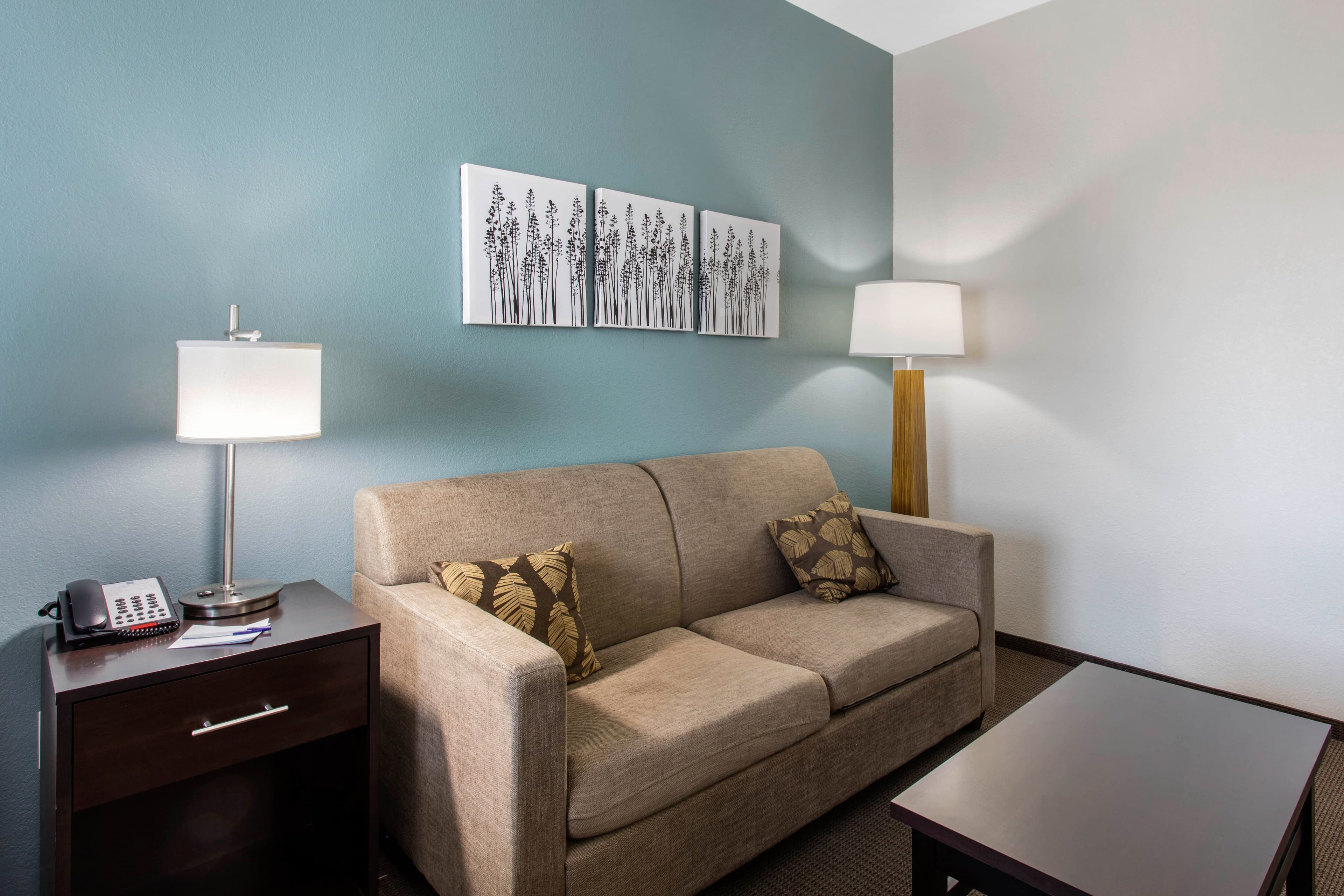 Sleep Inn Big Spring North I-20 — 15