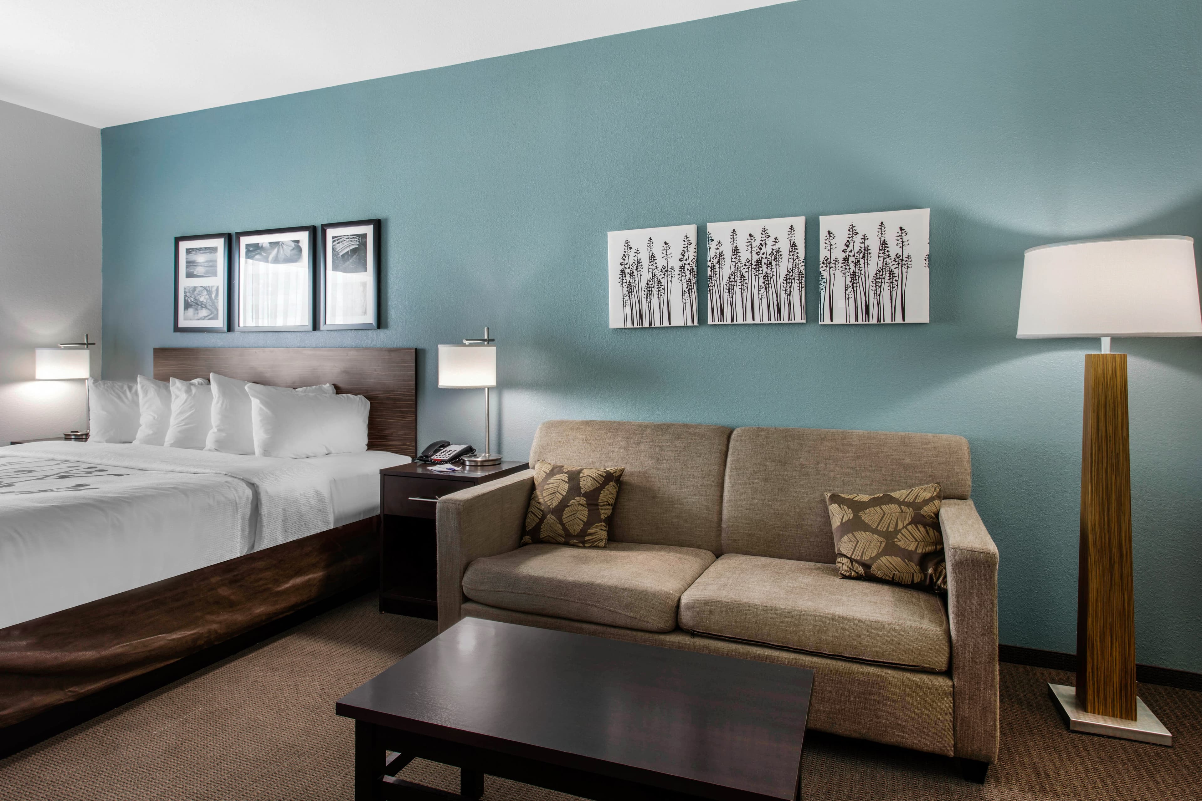Sleep Inn Big Spring North I-20 — 17
