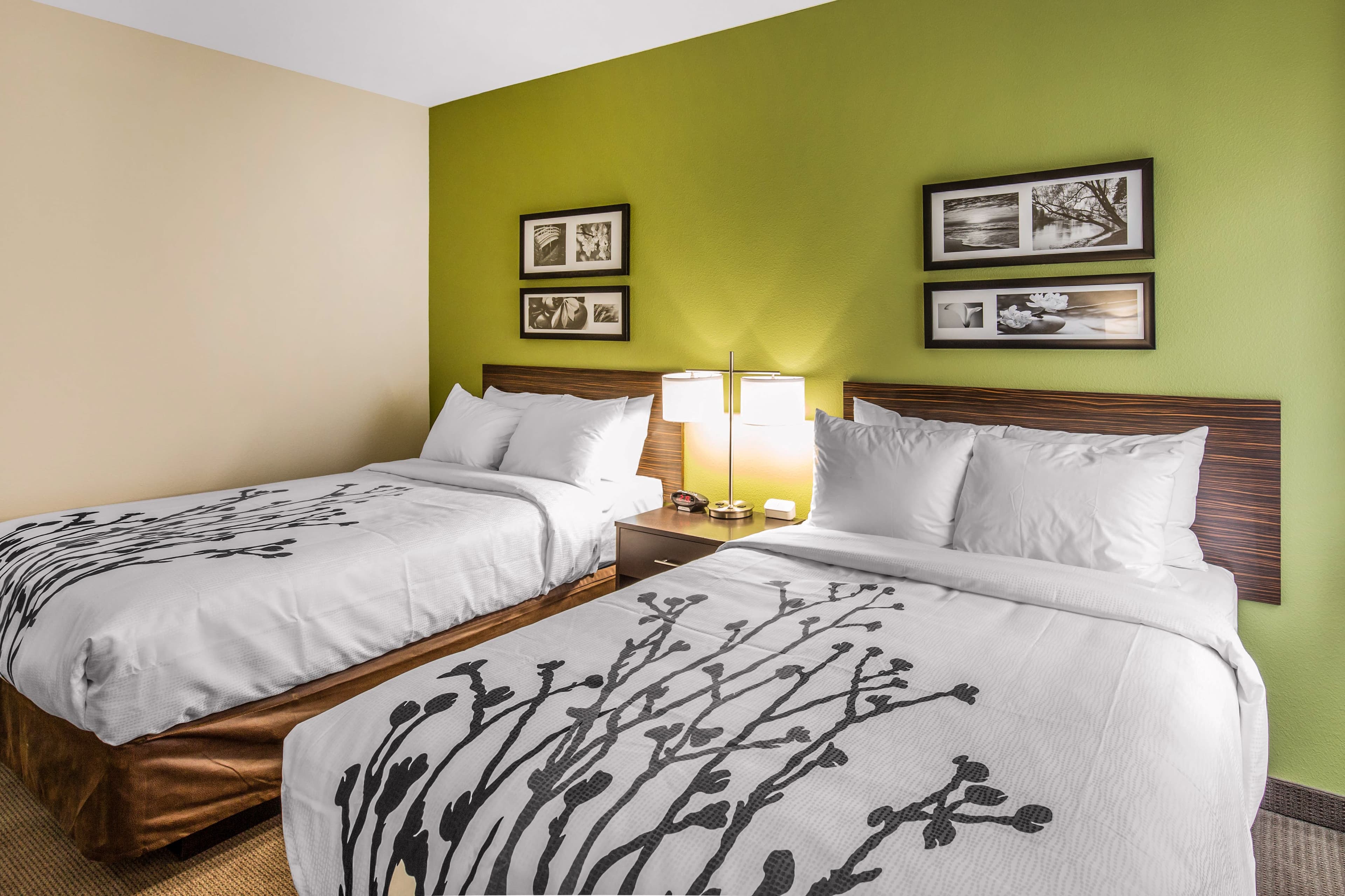 Sleep Inn Dallas Love Field-Medical District - Image 2