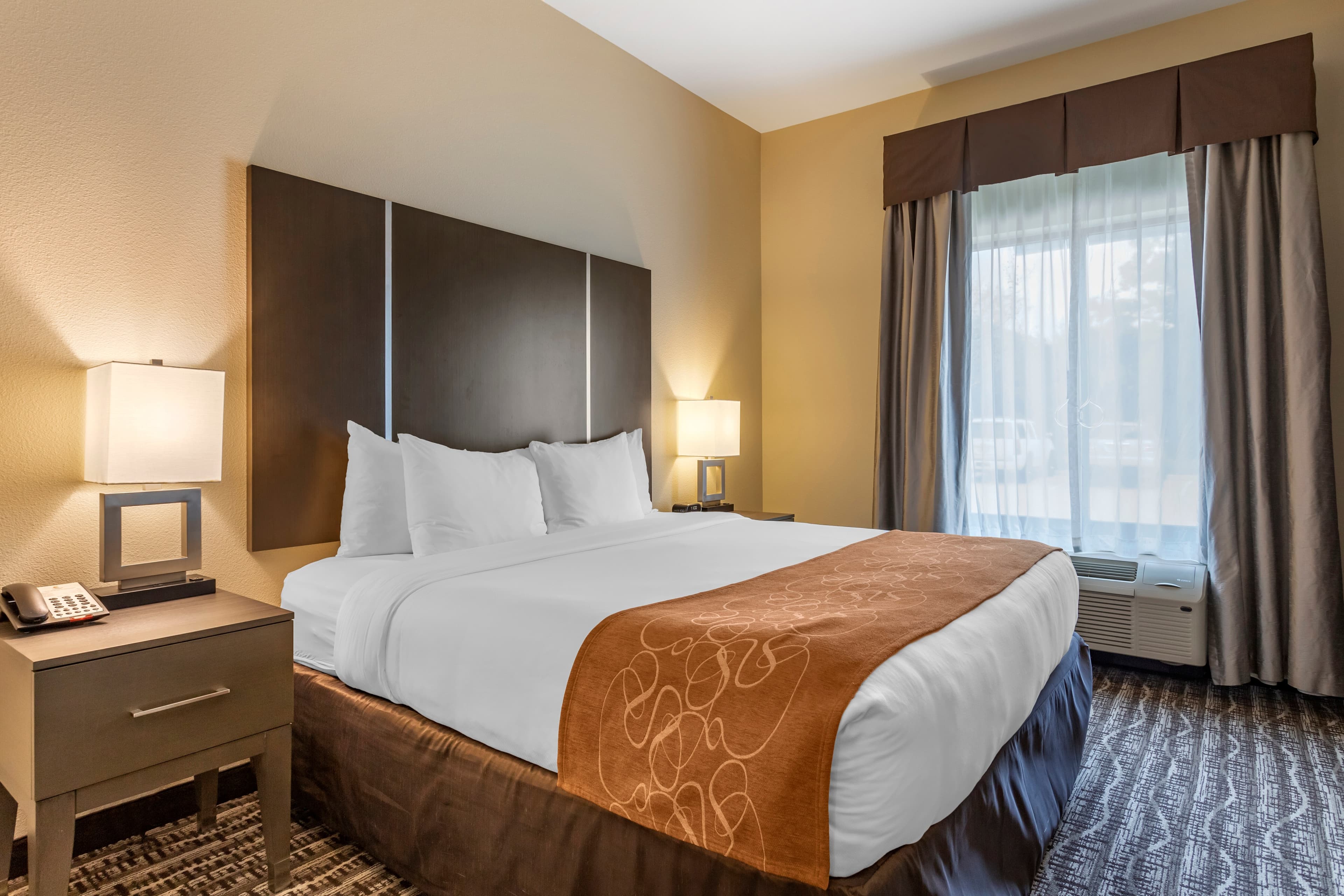 Comfort Suites Near Sam Houston Race Park - Image 2