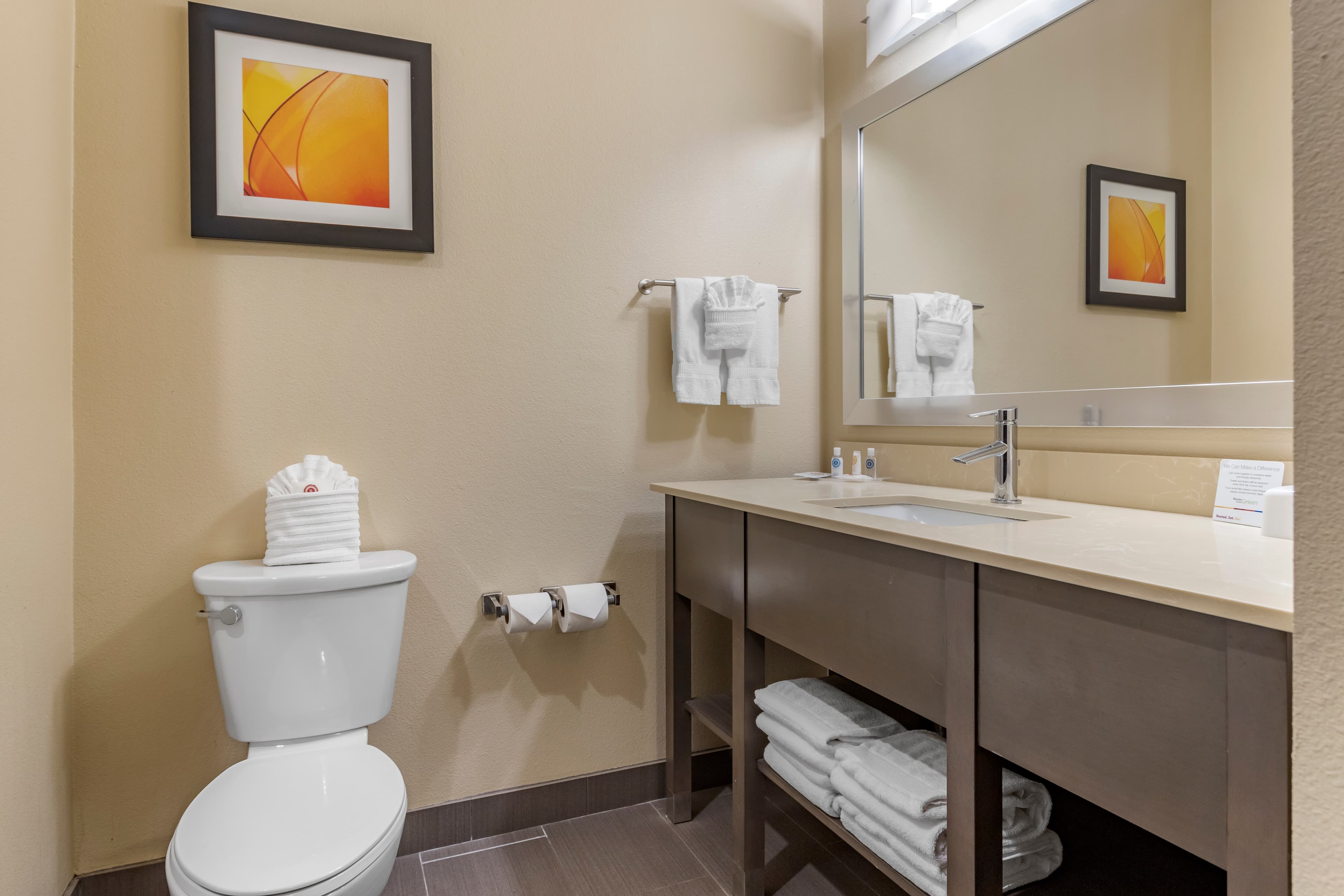 Comfort Suites Near Sam Houston Race Park — 13