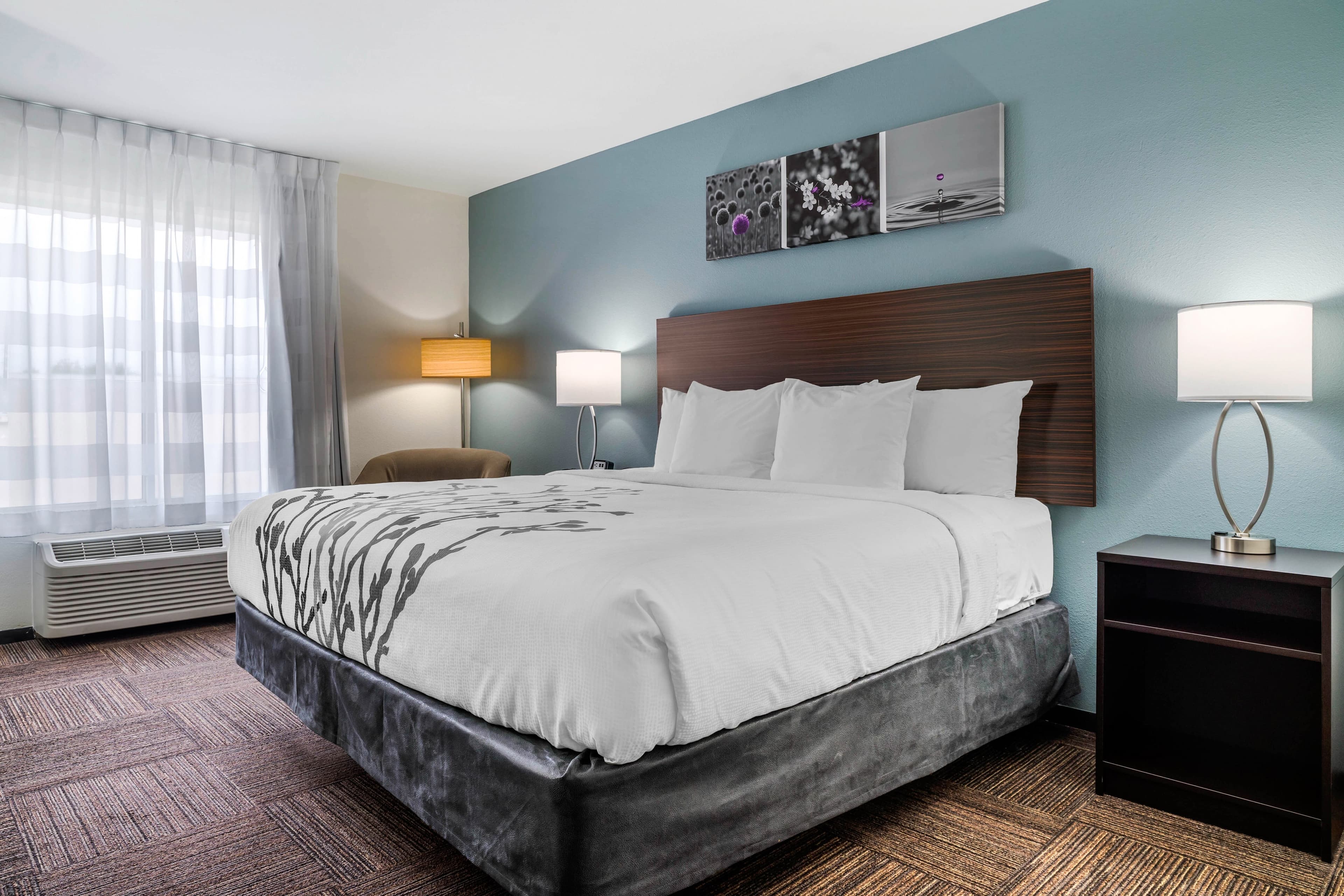 Sleep Inn & Suites near Westchase - Image 2