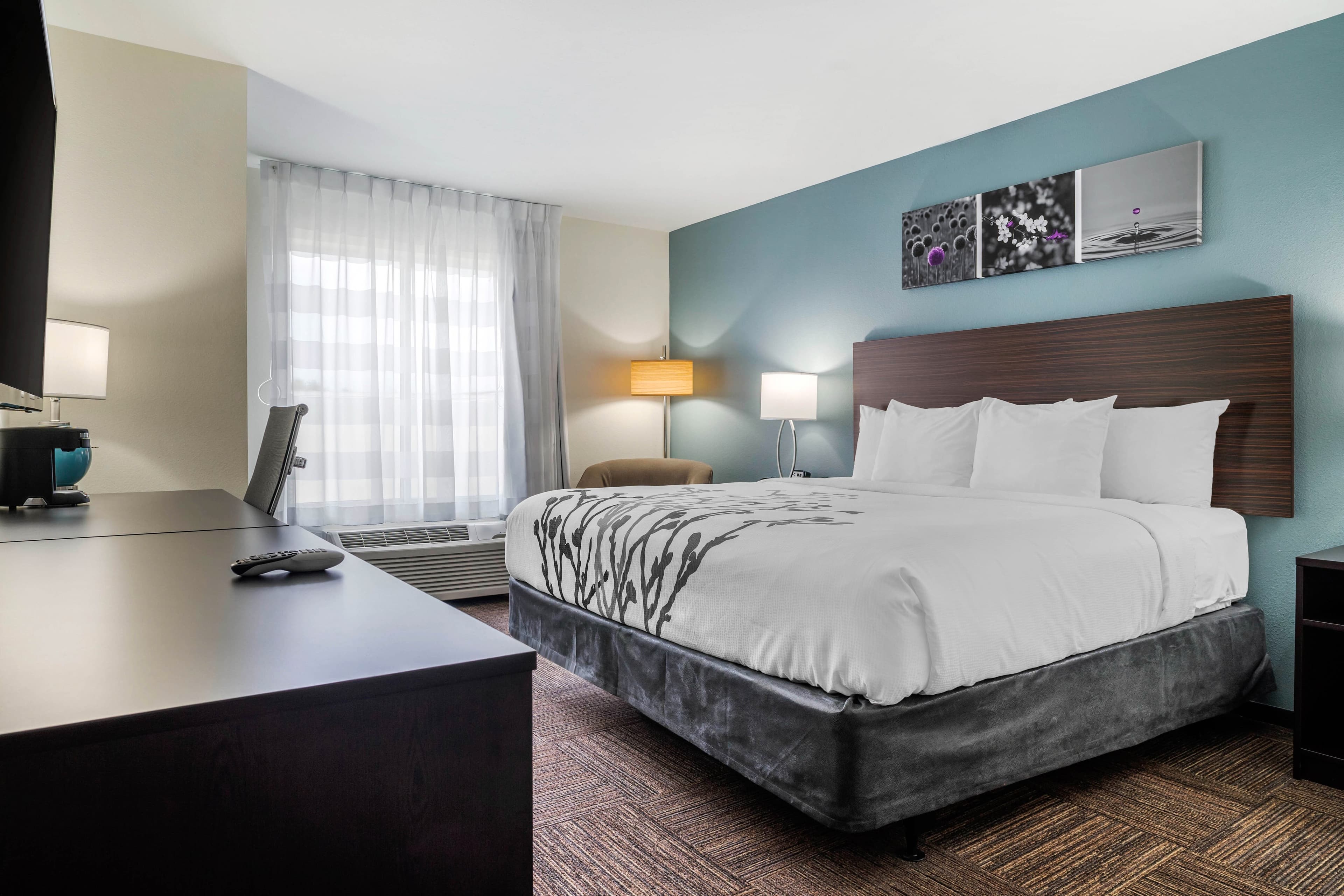 Sleep Inn & Suites near Westchase - Image 3