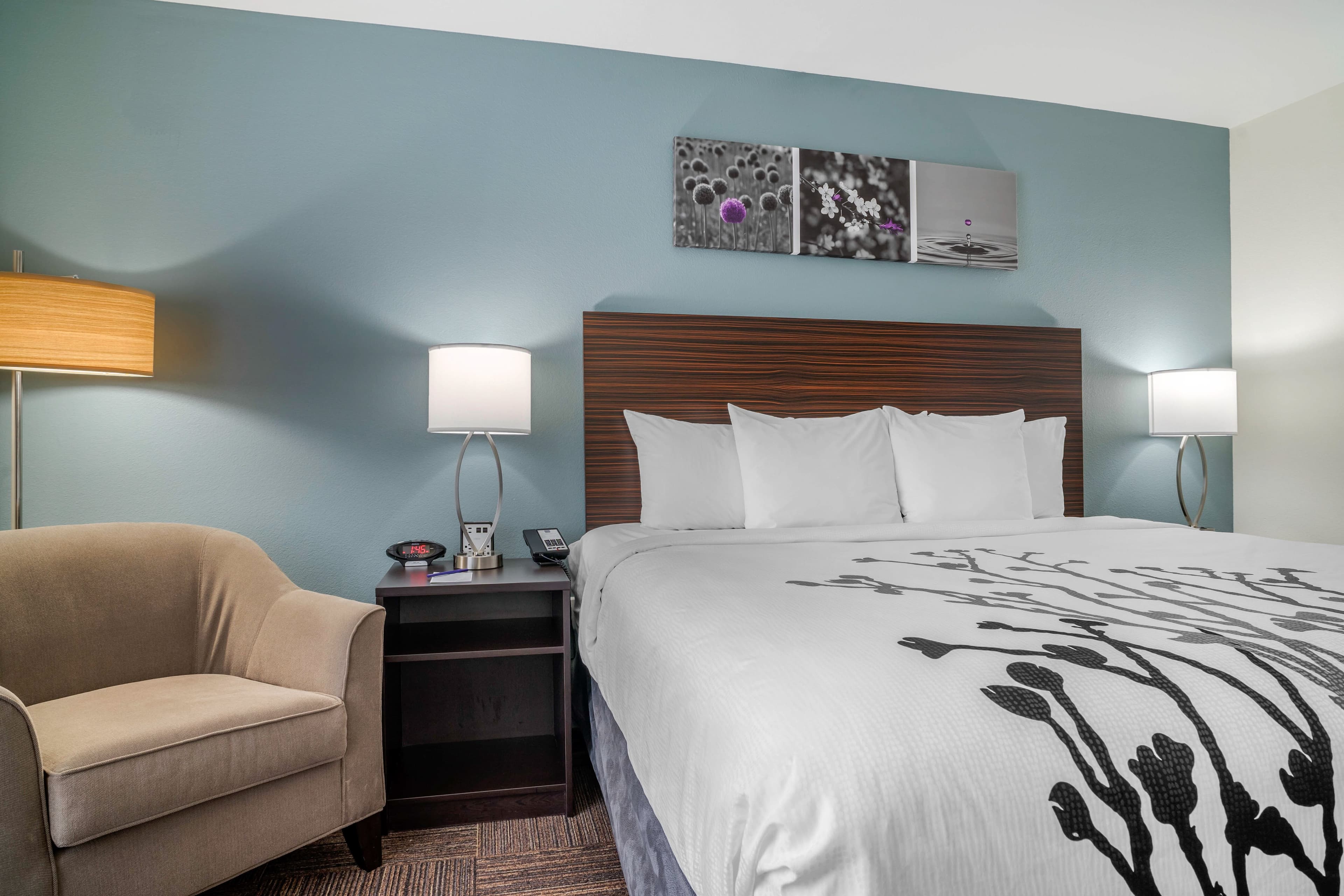 Sleep Inn & Suites near Westchase - Image 4