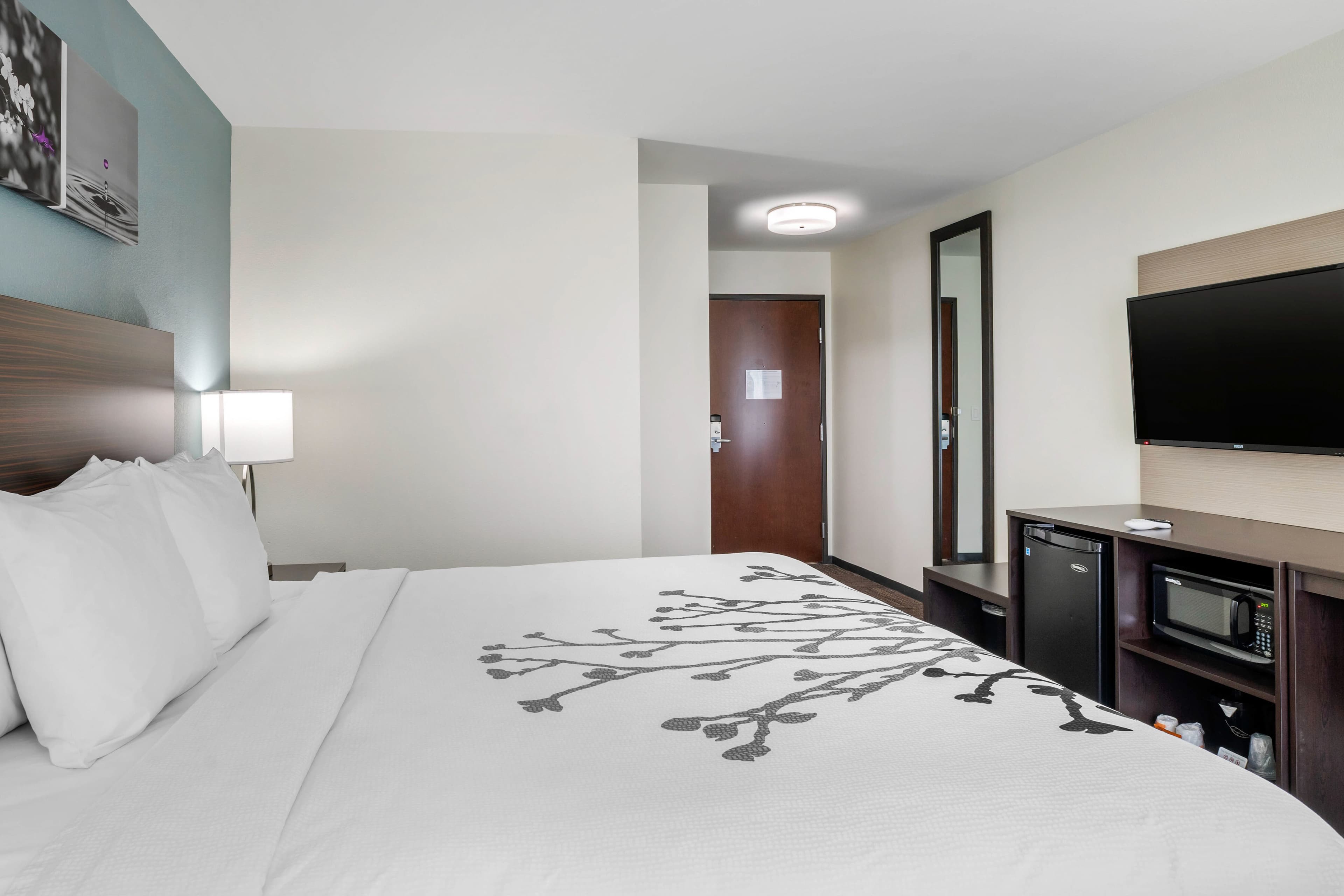Sleep Inn & Suites near Westchase - Image 5