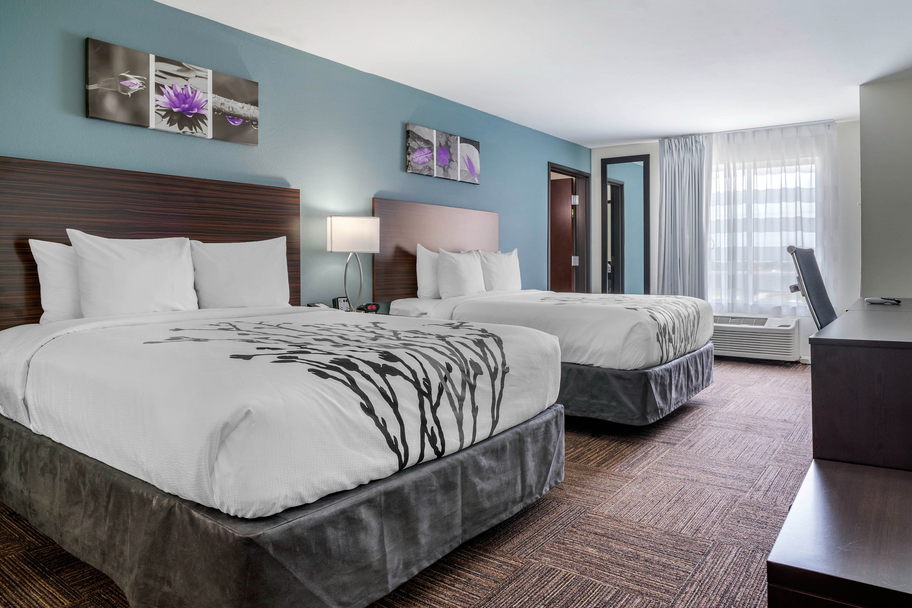 Sleep Inn & Suites near Westchase — 12
