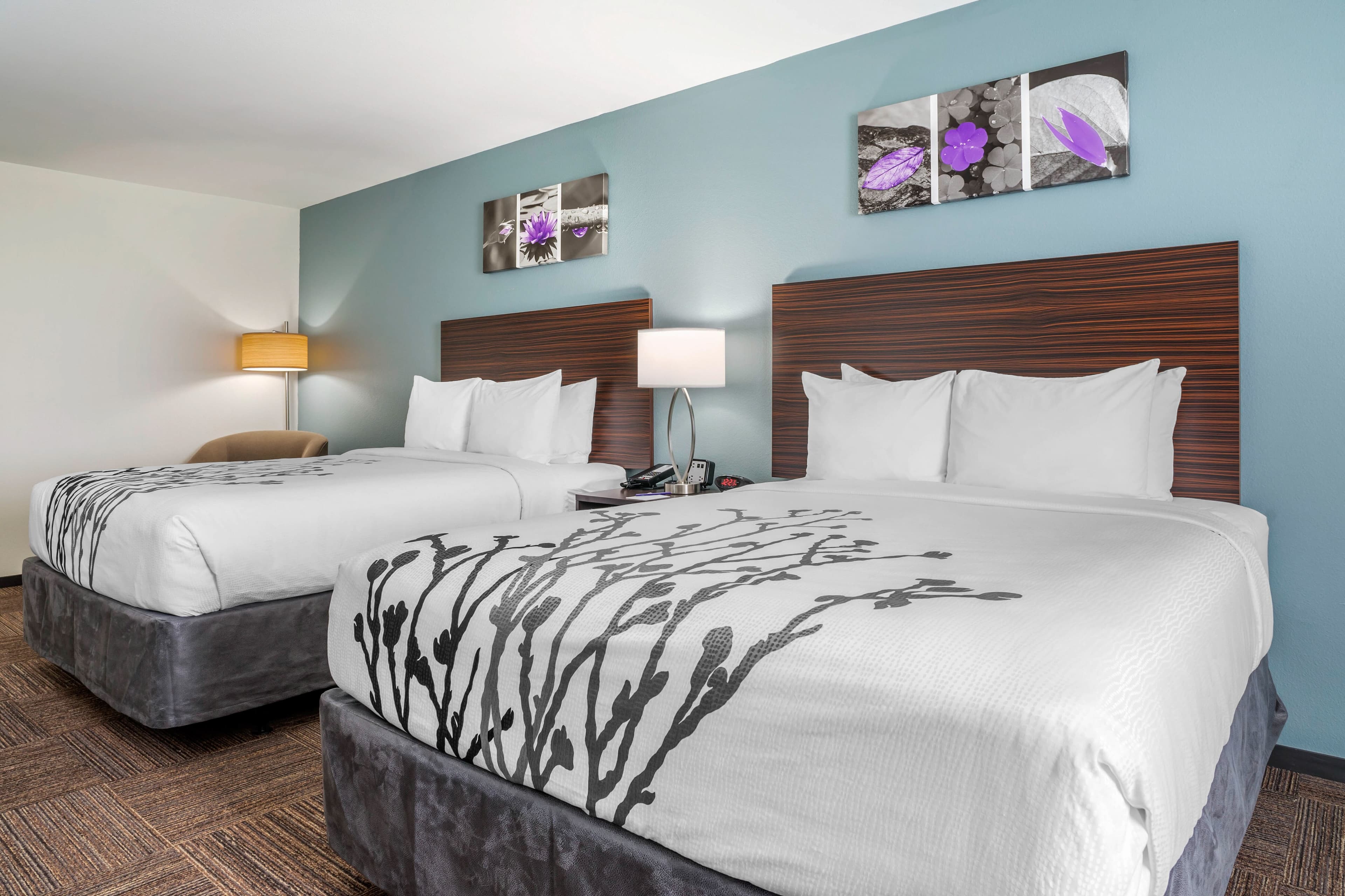 Sleep Inn & Suites near Westchase — 13