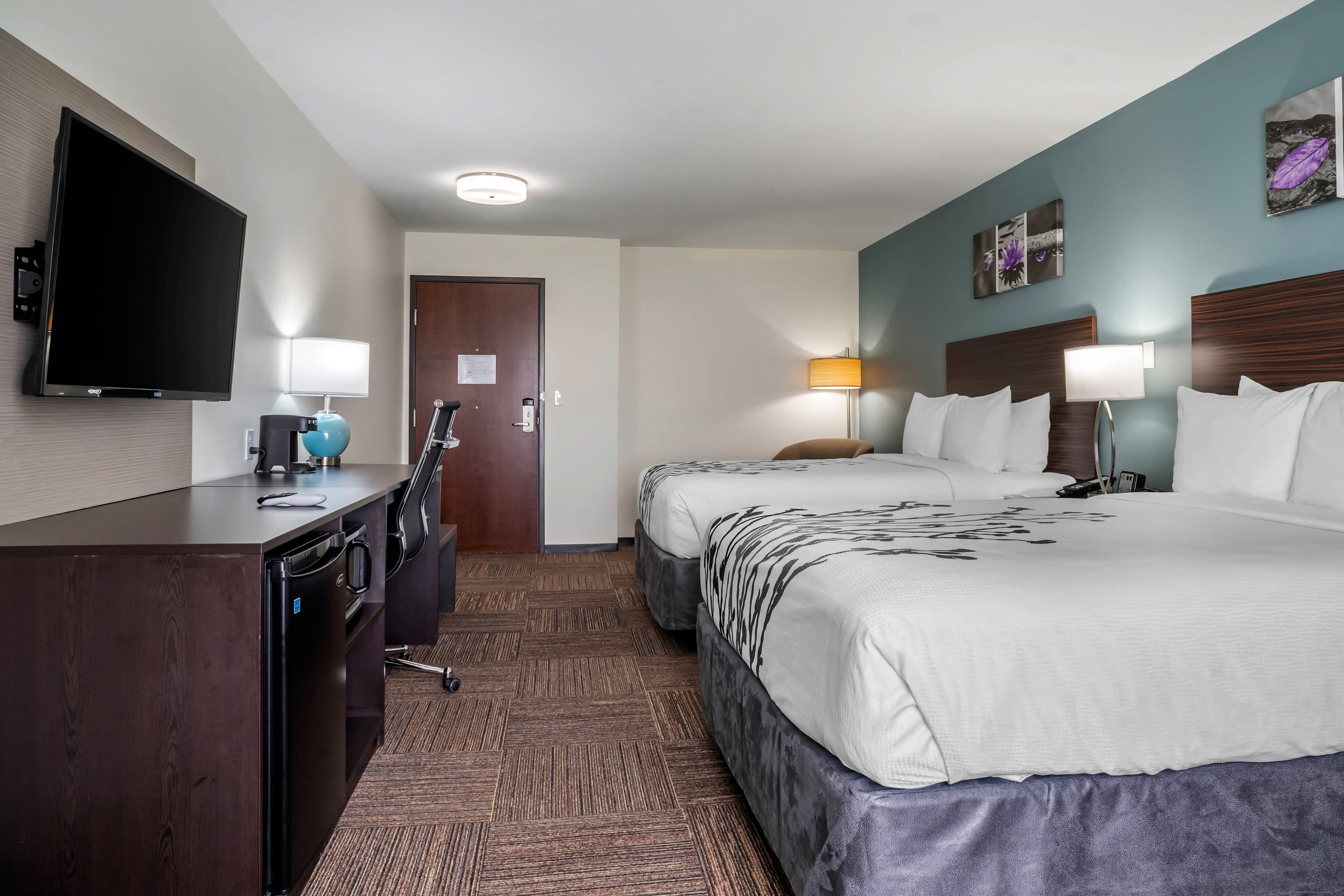 Sleep Inn & Suites near Westchase — 15