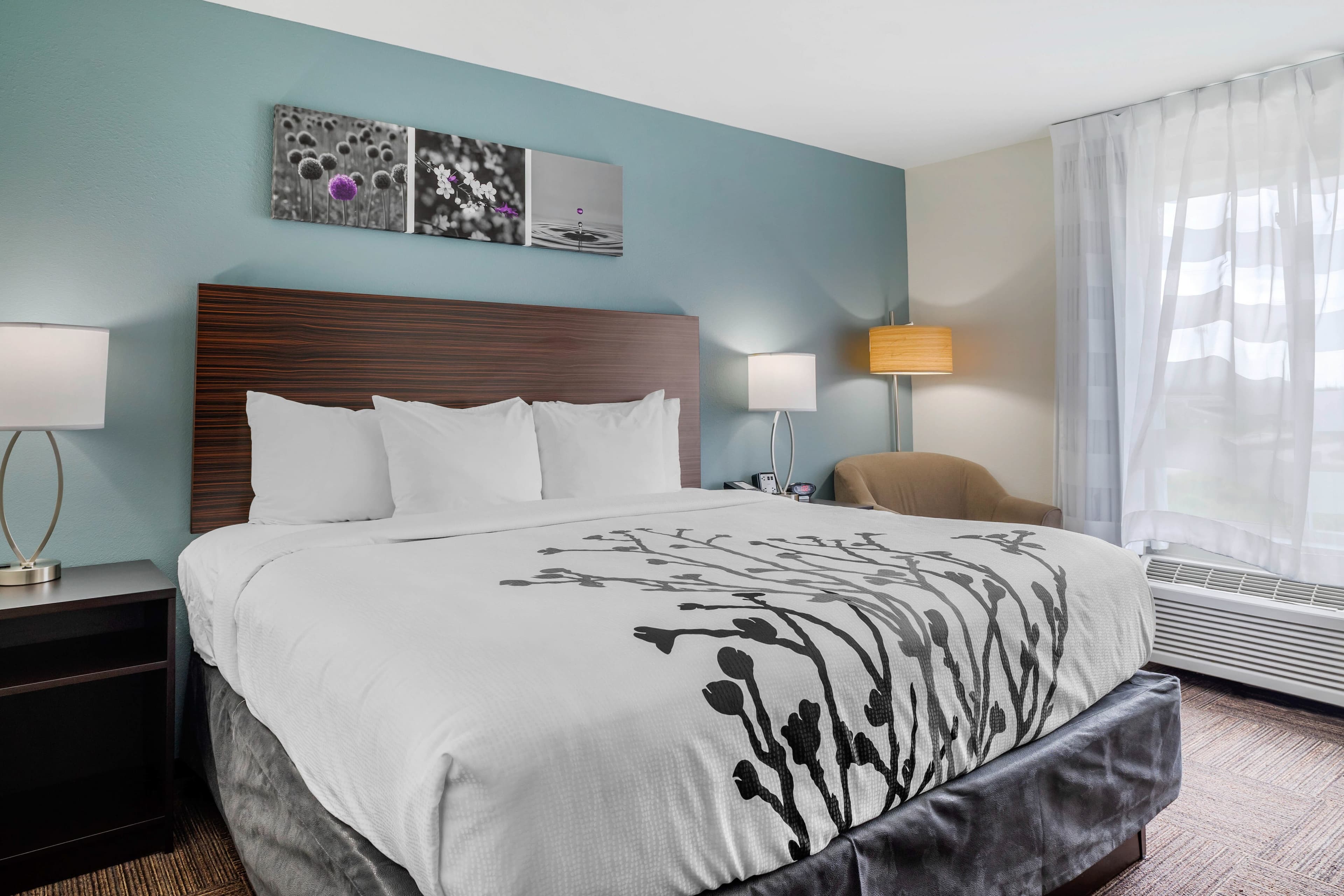 Sleep Inn & Suites near Westchase — 7