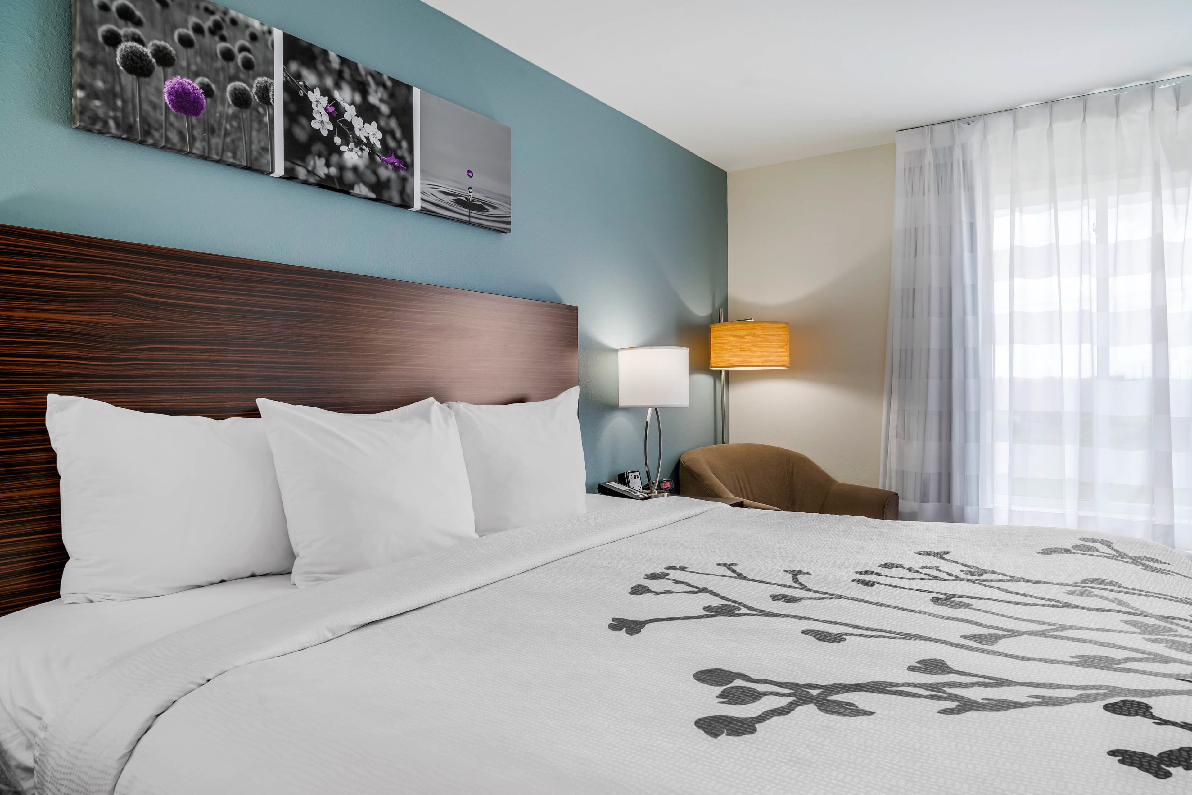 Sleep Inn & Suites near Westchase — 8