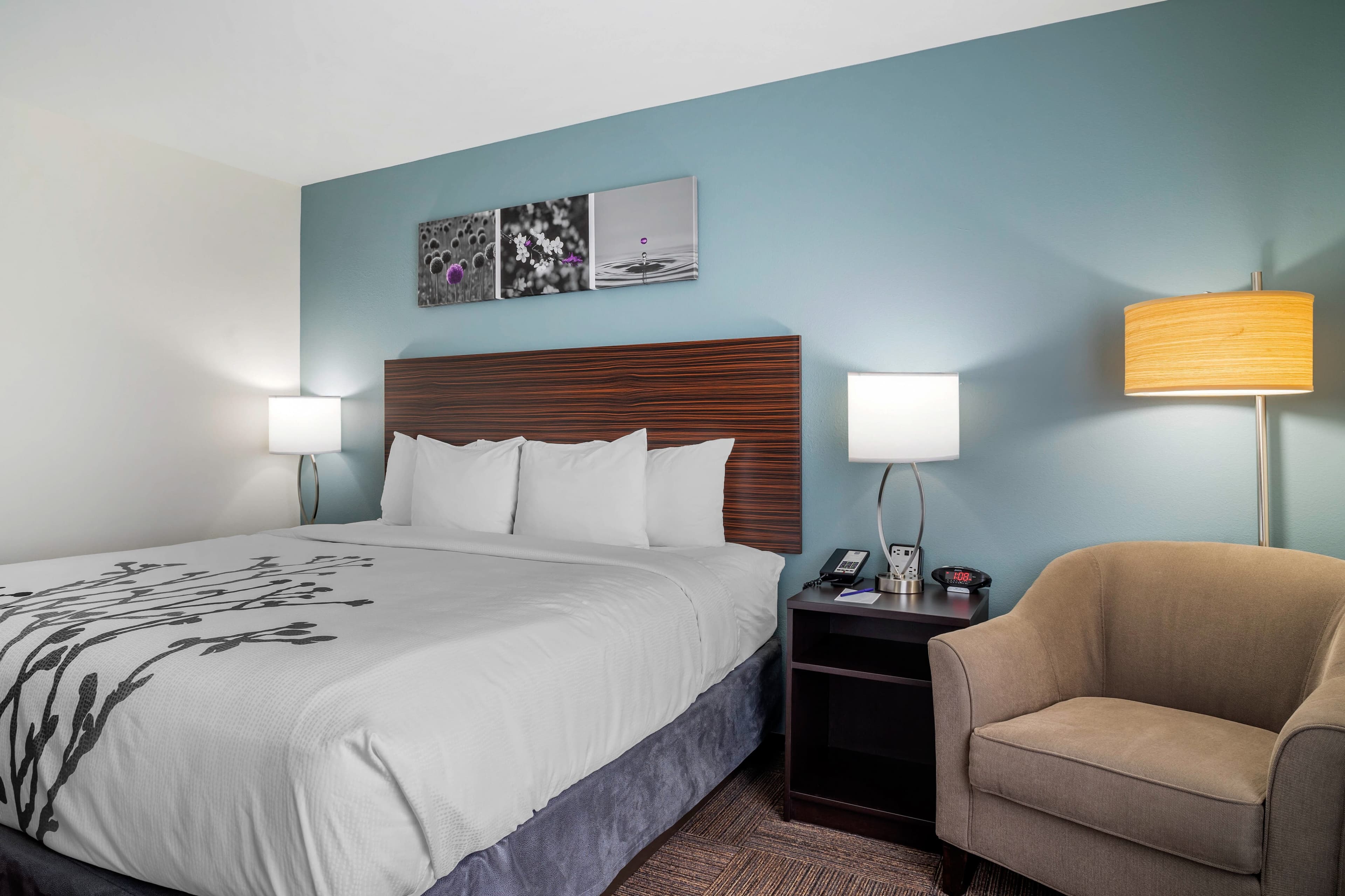 Sleep Inn & Suites near Westchase — 9