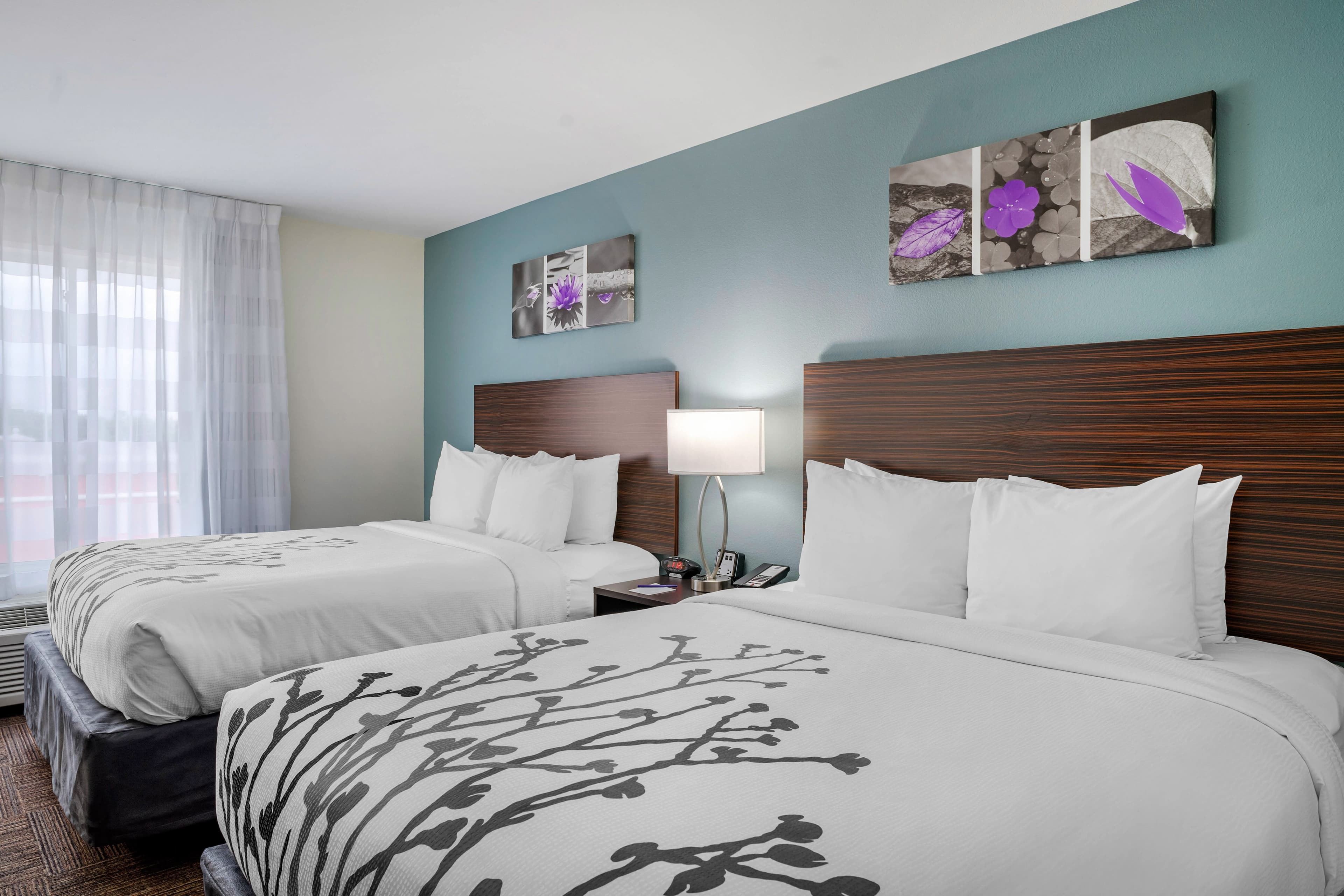 Sleep Inn & Suites near Westchase — 25