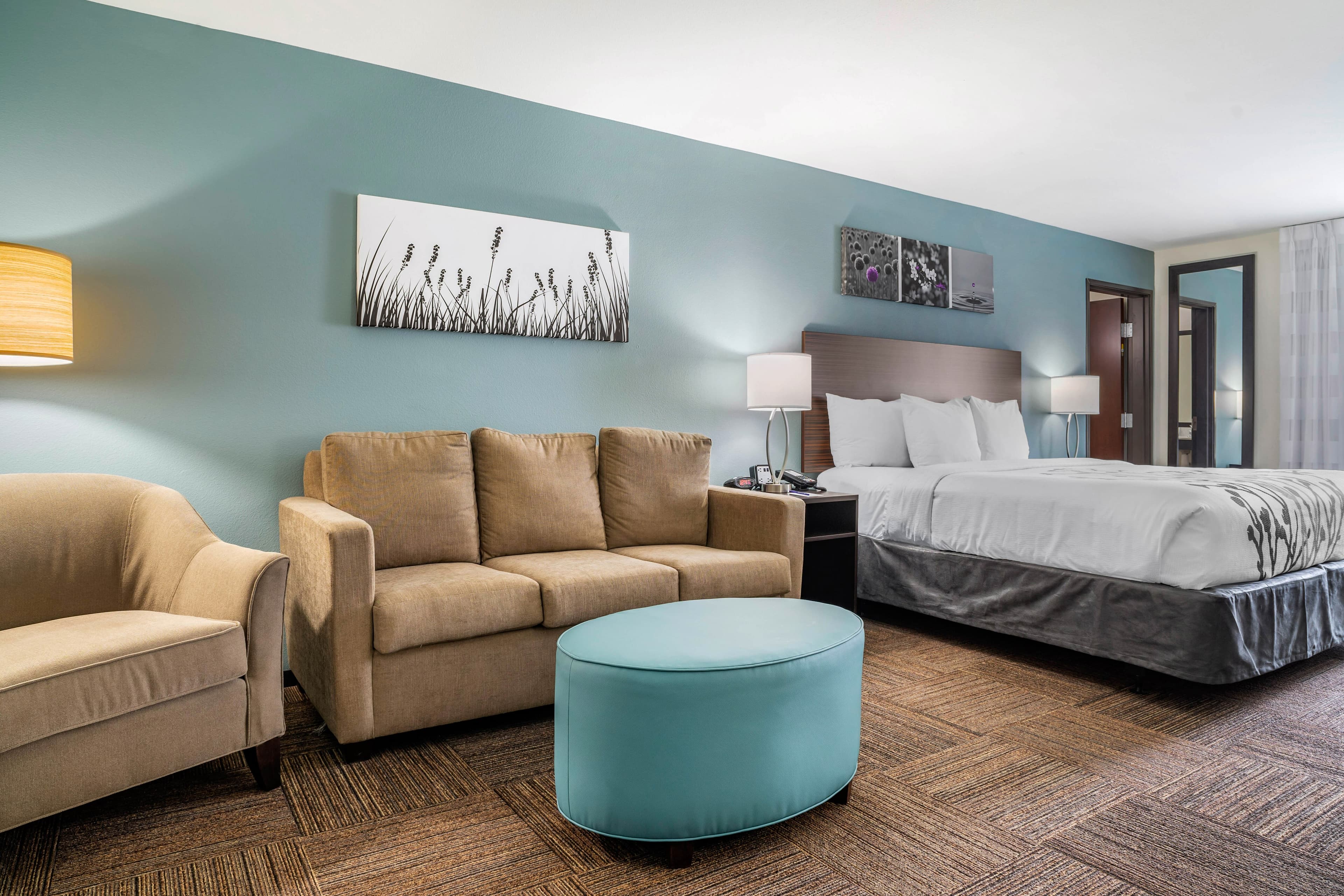 Sleep Inn & Suites near Westchase — 29