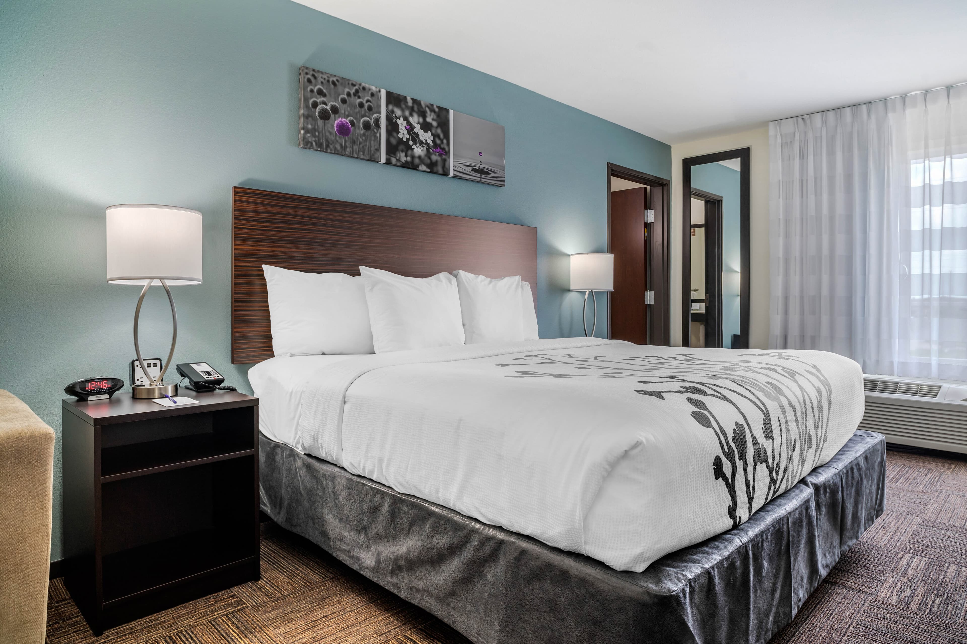 Sleep Inn & Suites near Westchase — 31