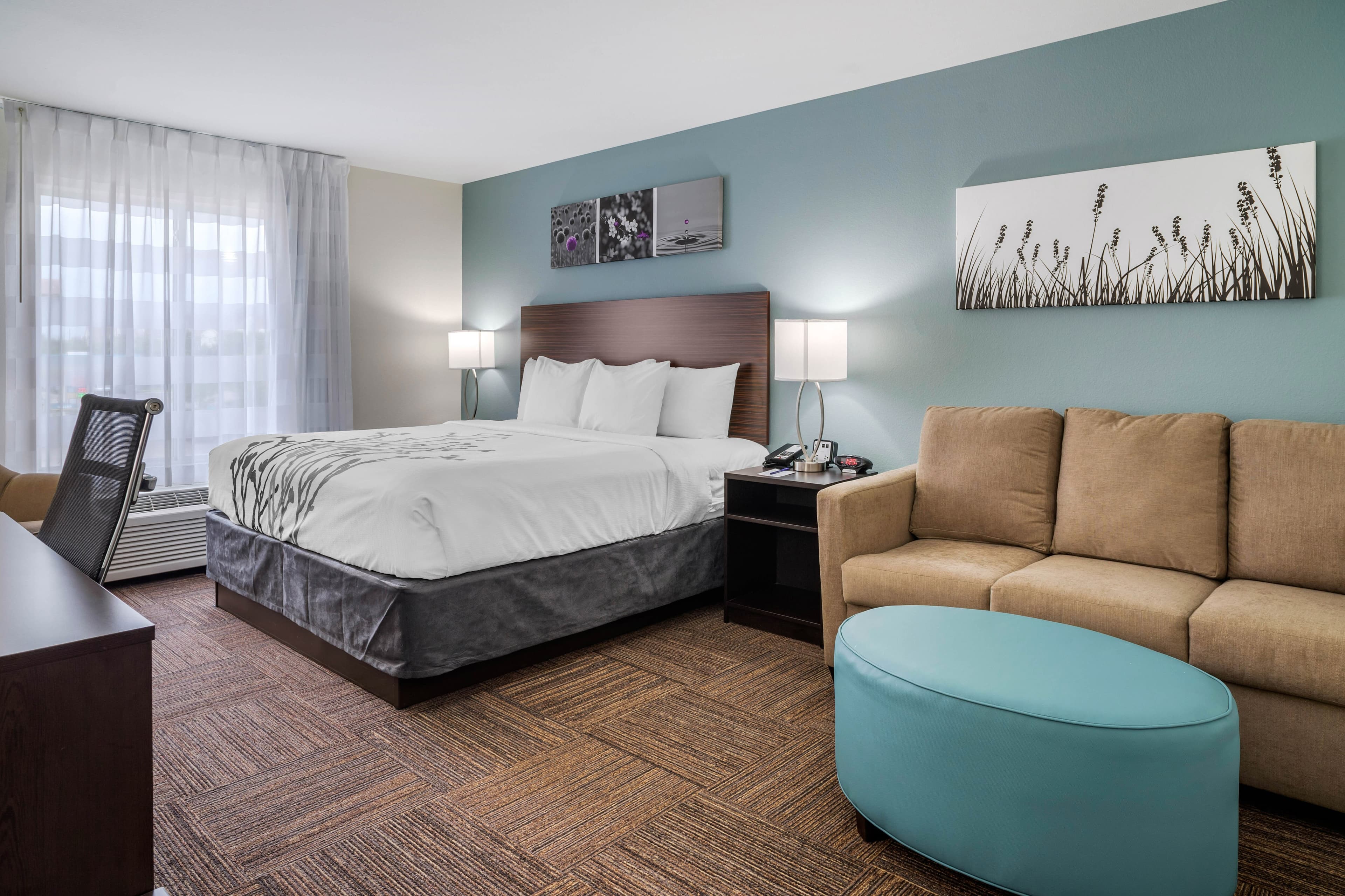 Sleep Inn & Suites near Westchase — 34