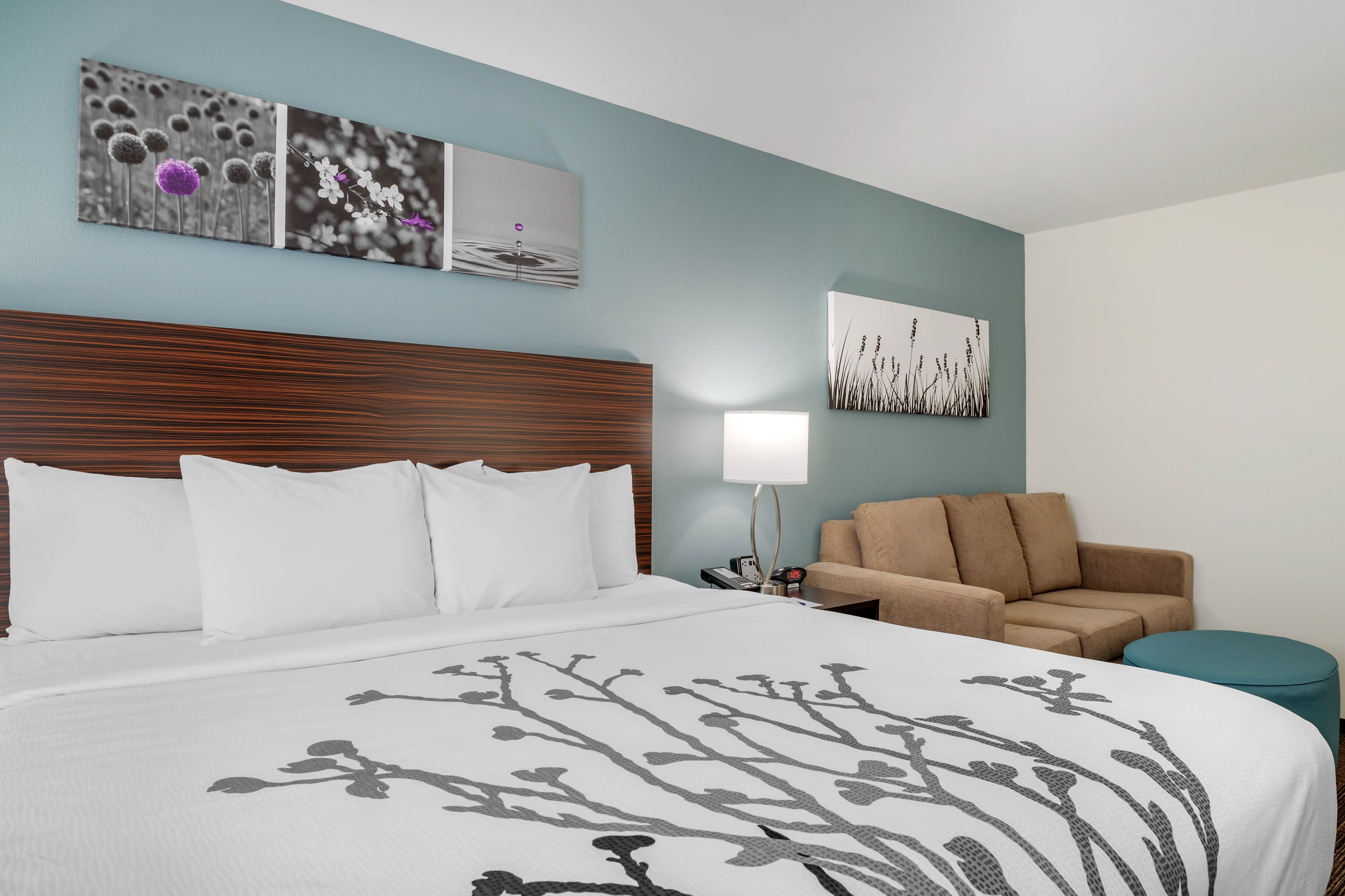 Sleep Inn & Suites near Westchase — 36