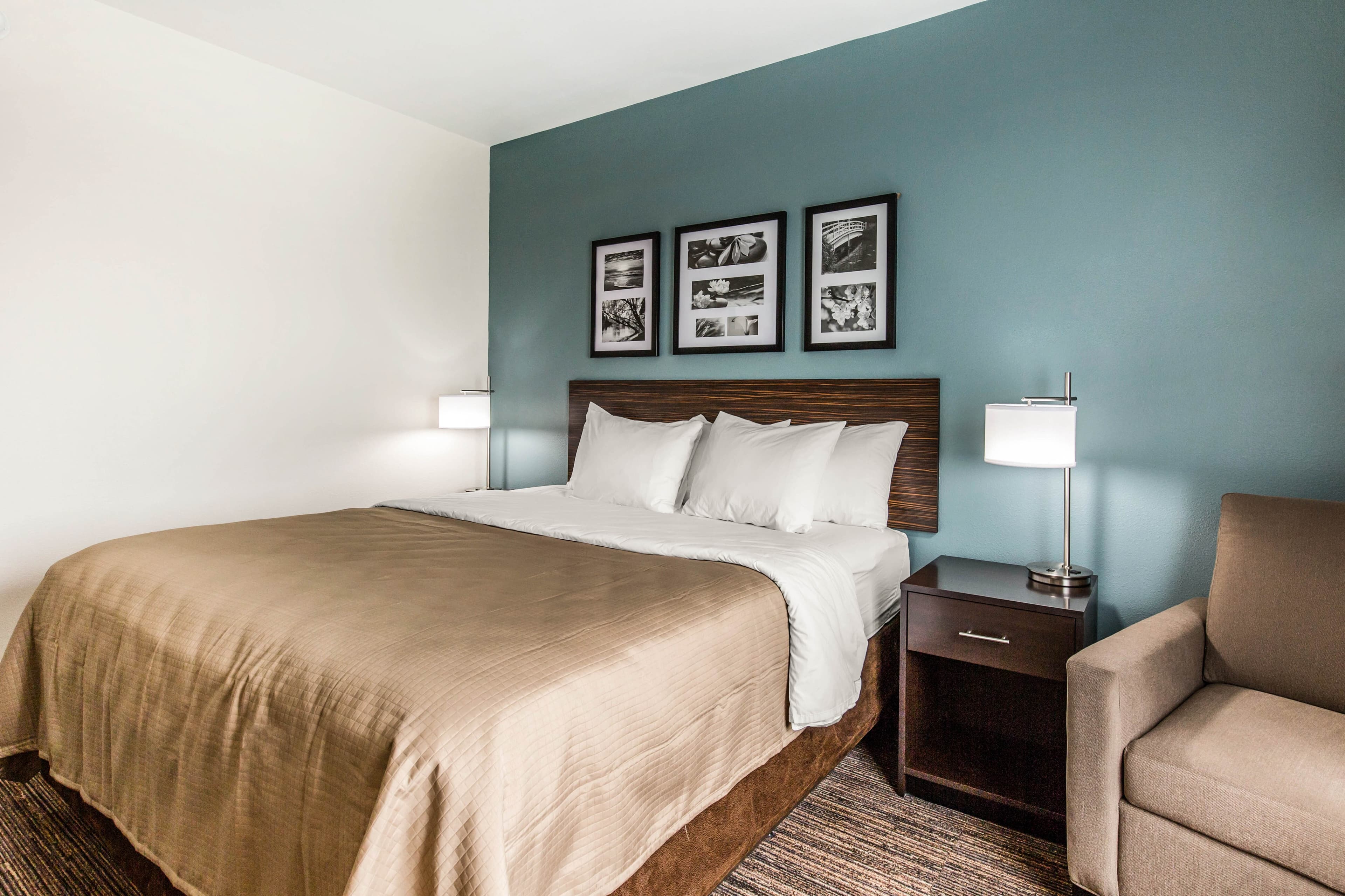 Sleep Inn & Suites Bryan - College Station - Image 4