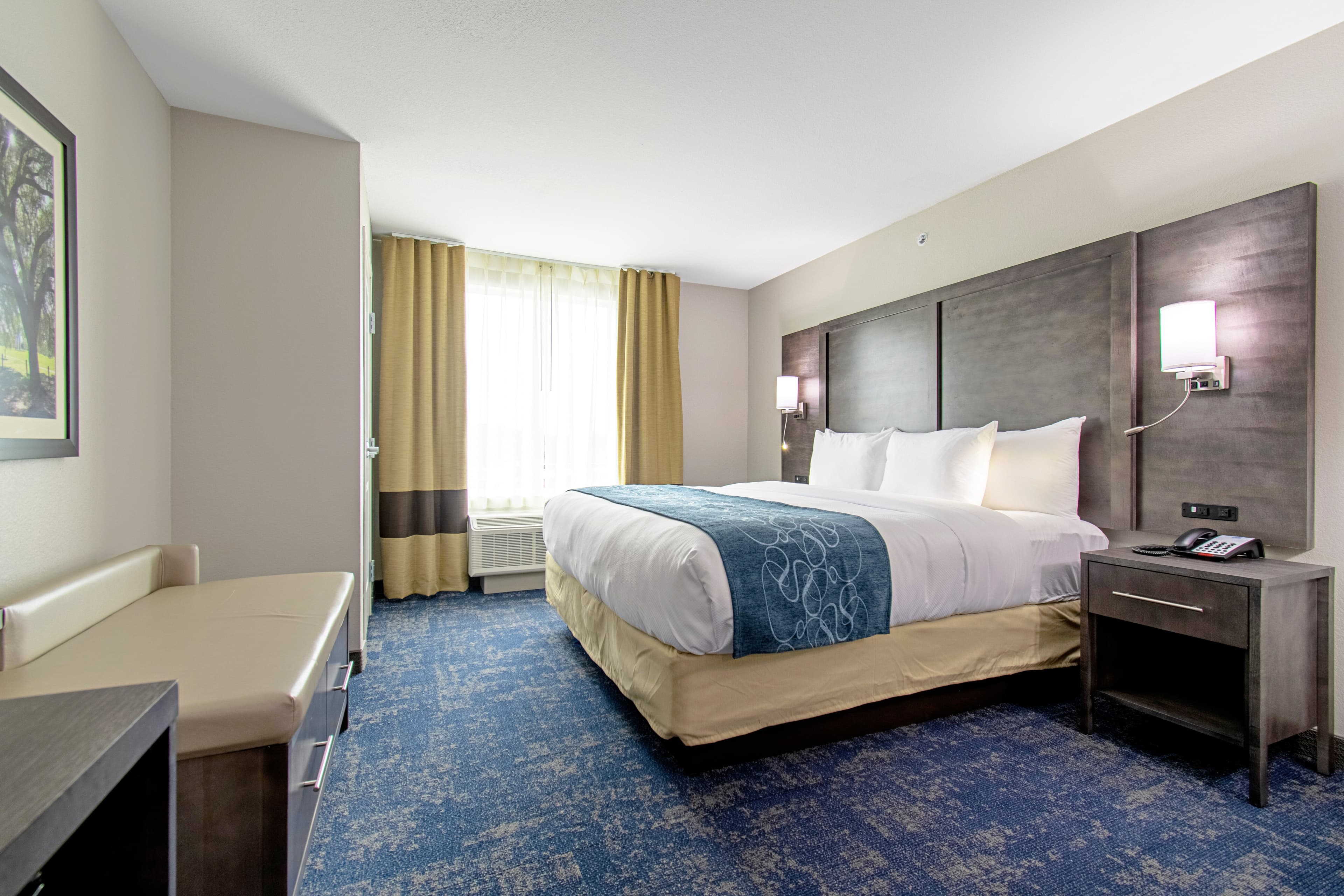 Comfort Suites Humble Houston IAH - Image 3