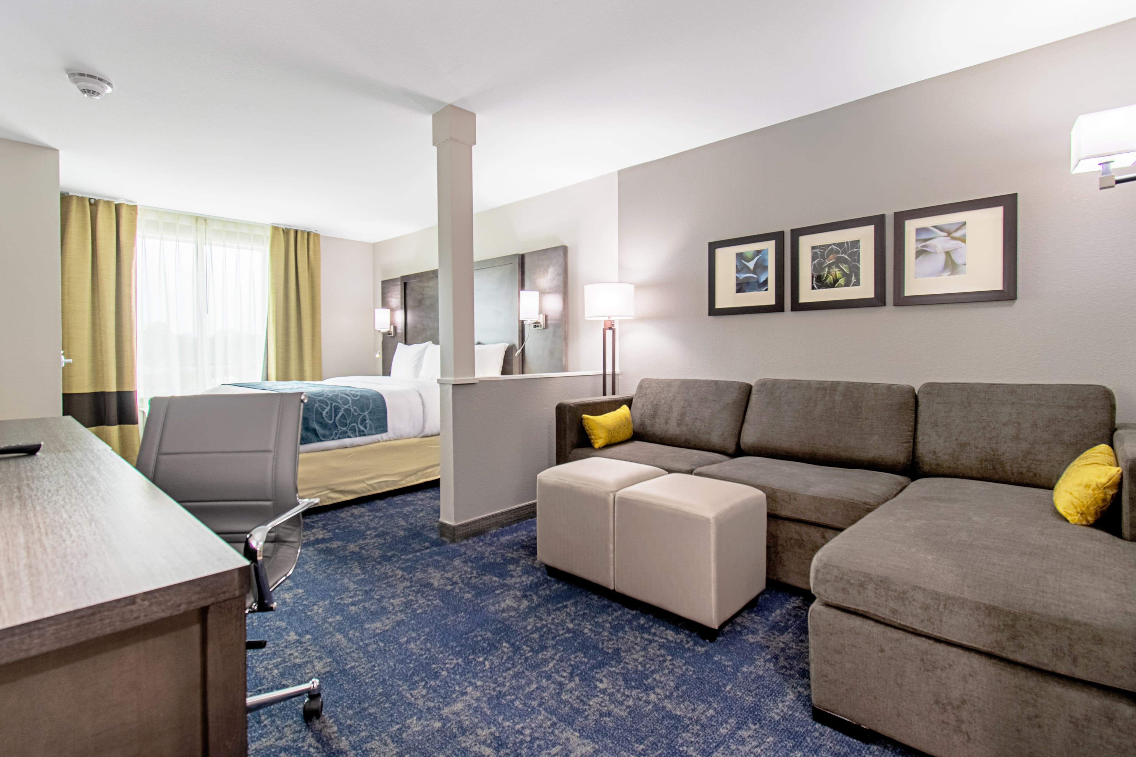 Comfort Suites Humble Houston IAH — 15