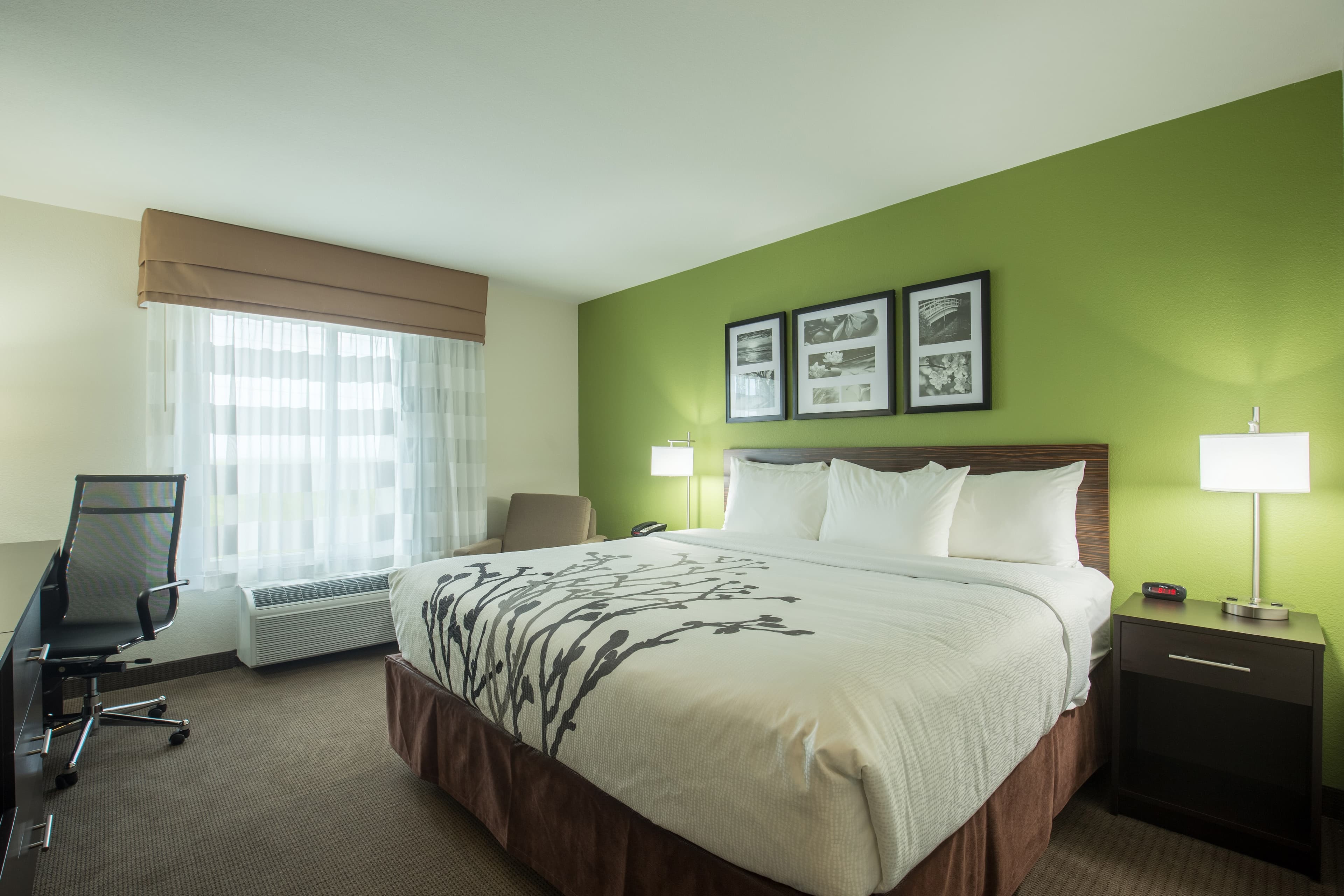 Sleep Inn & Suites Ingleside - Corpus Christi - Image 3