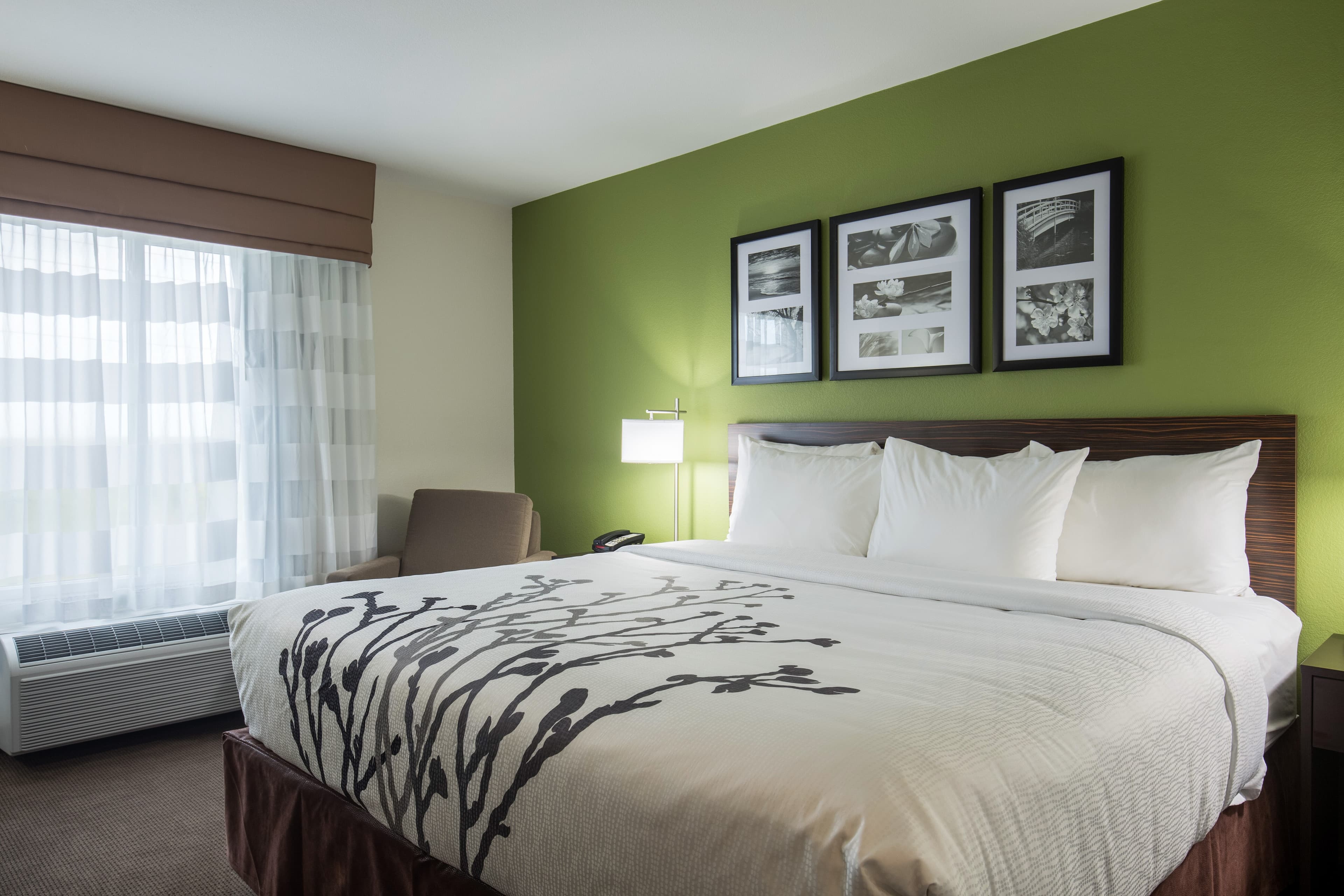 Sleep Inn & Suites Ingleside - Corpus Christi - Image 2