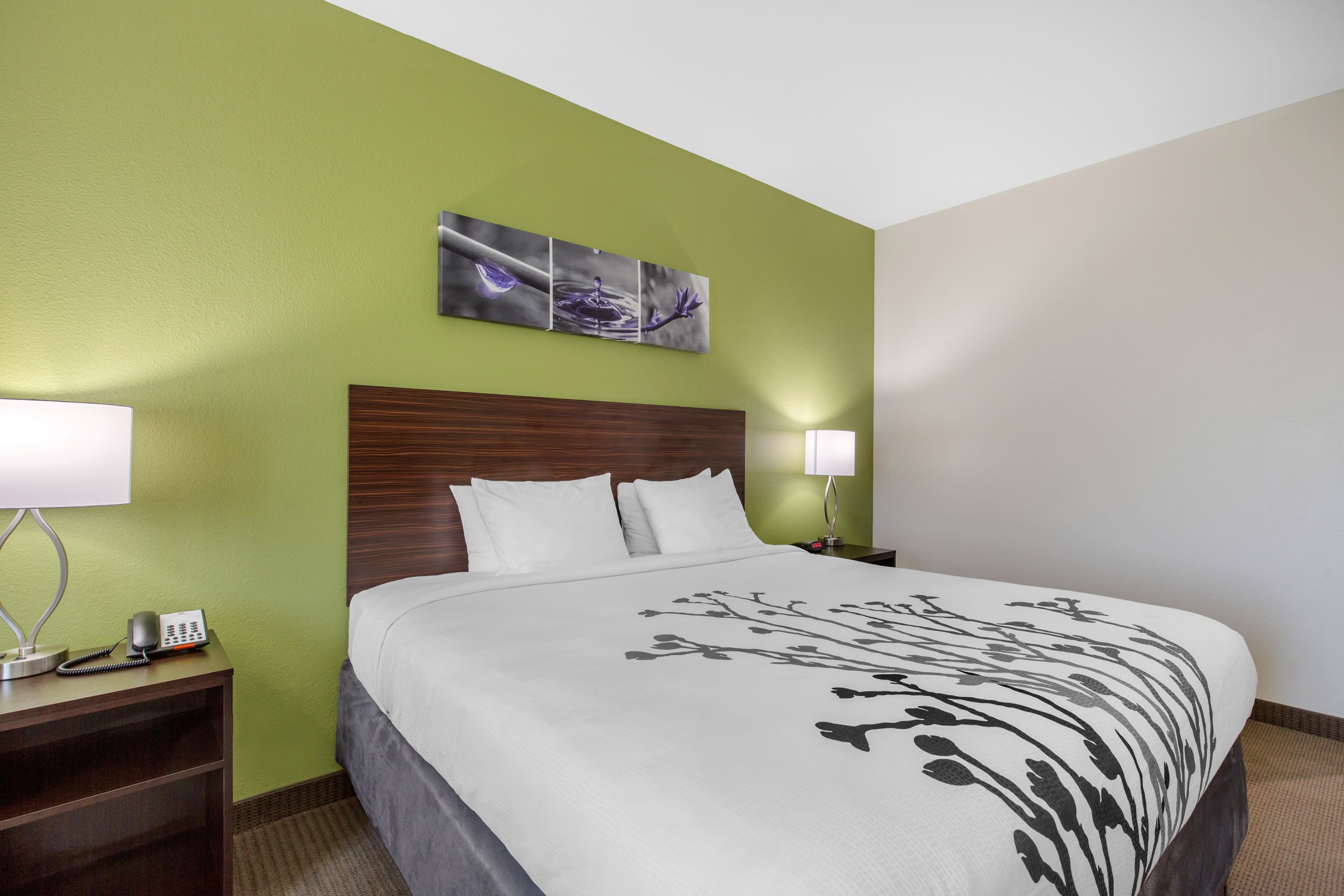 Sleep Inn & Suites Galveston Island - Image 4