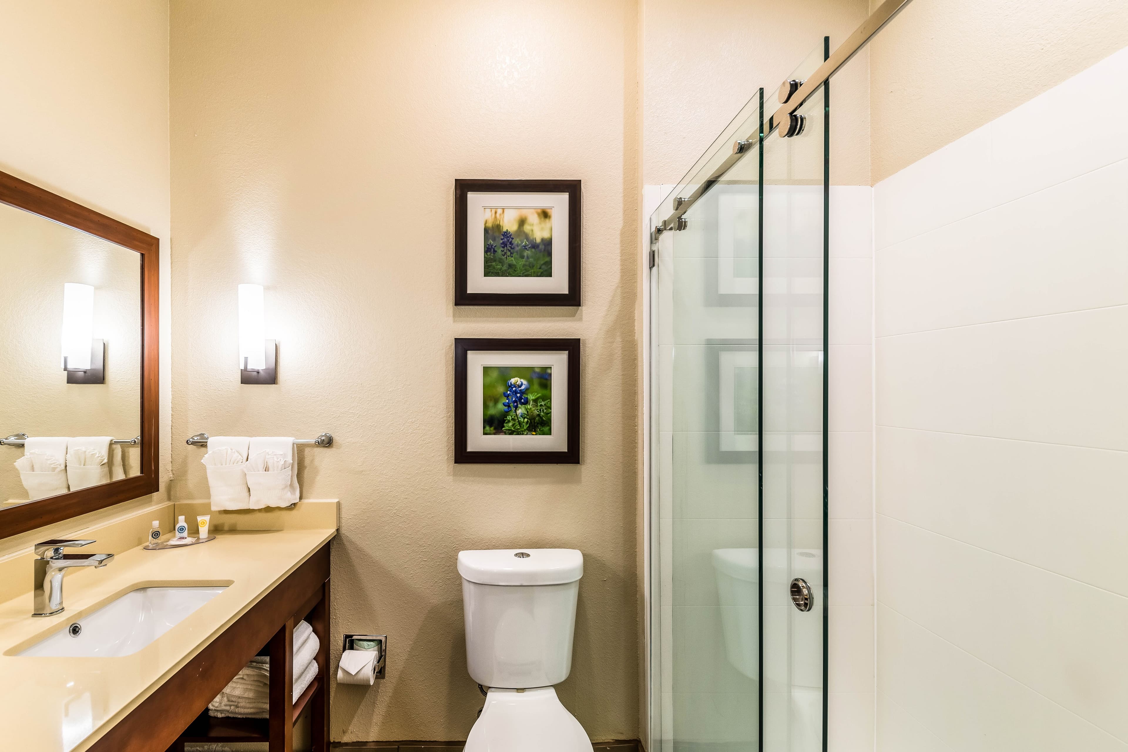 Comfort Suites Grand Prairie - Arlington North — 14