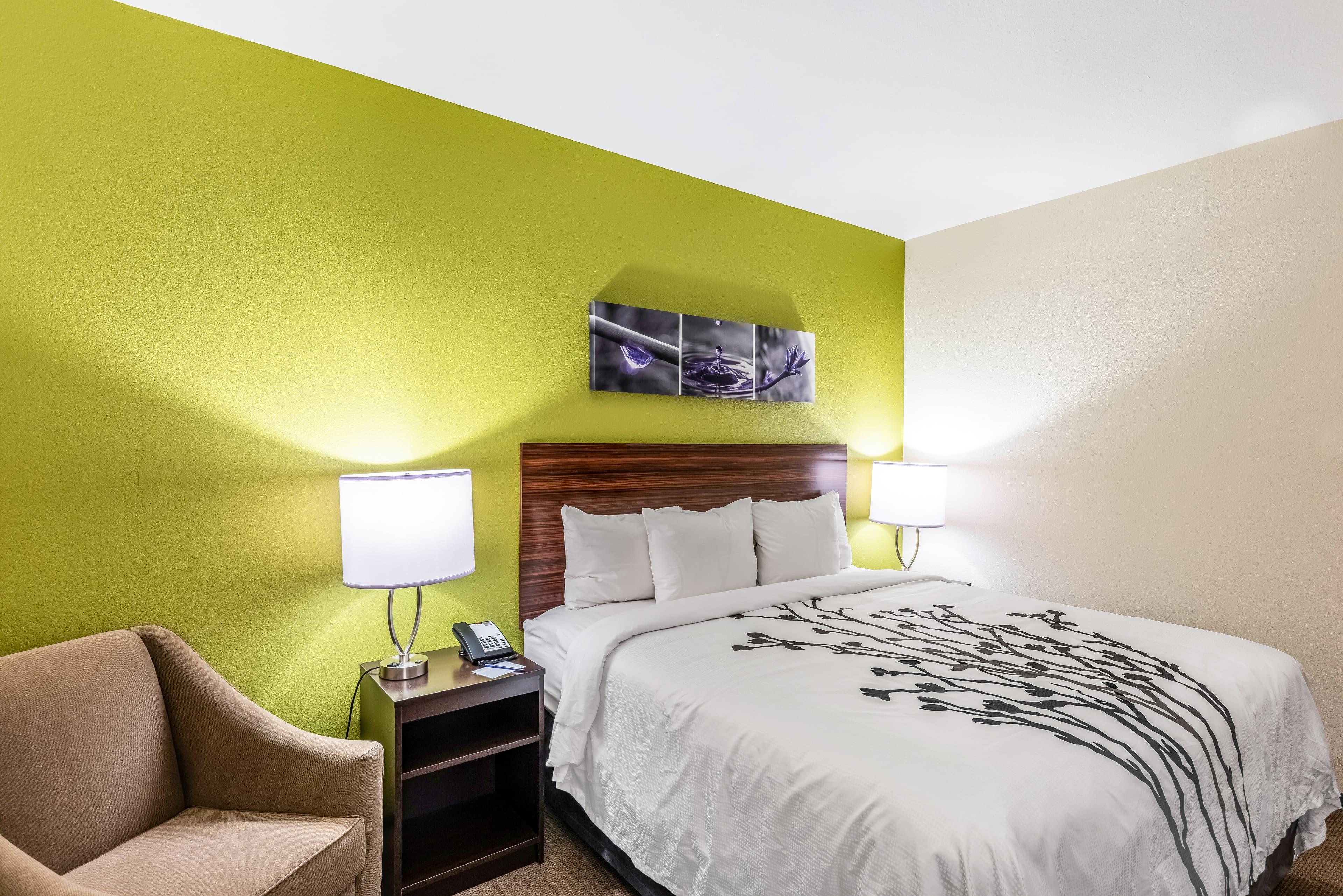 Sleep Inn & Suites Fort Worth - Fossil Creek - Image 3