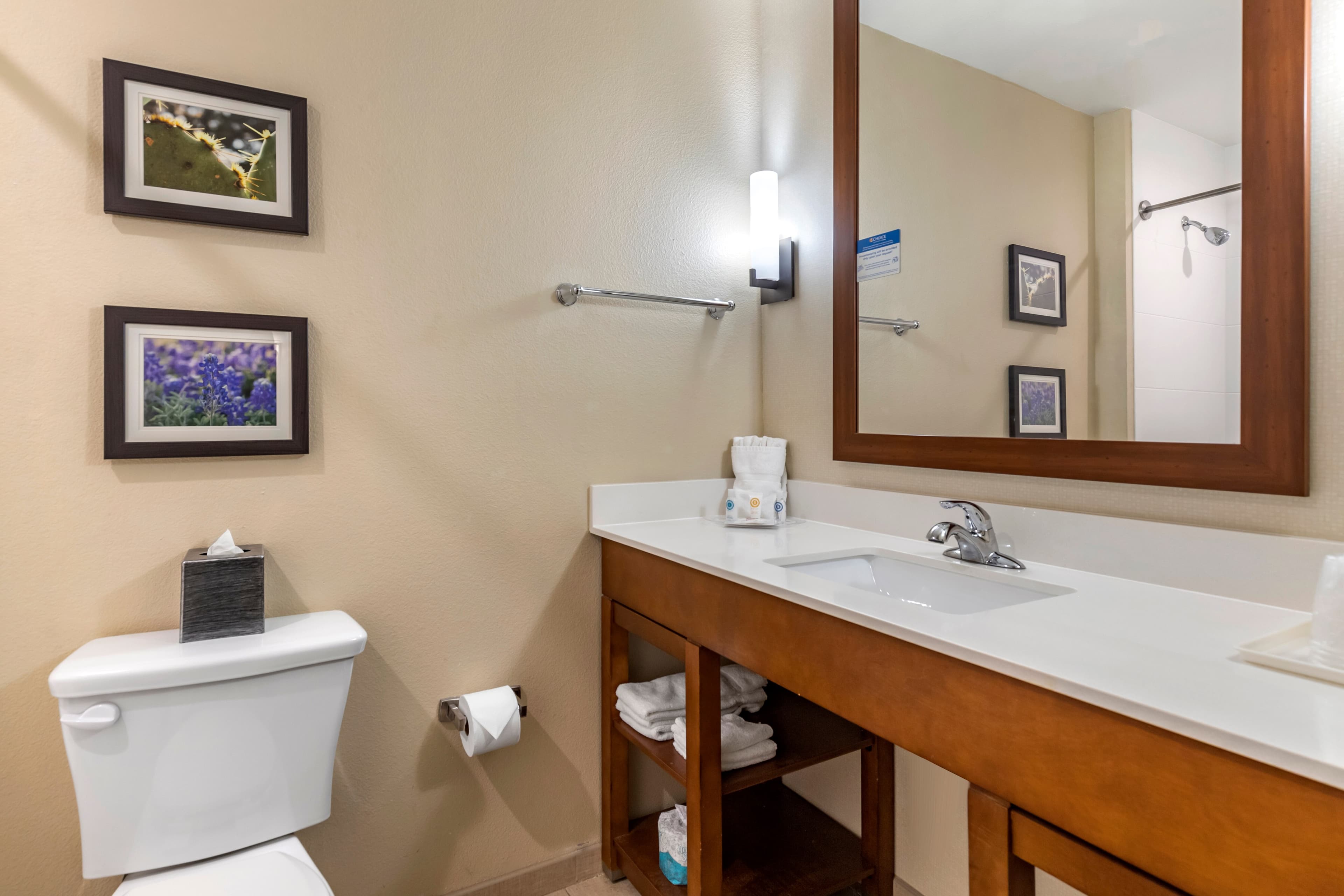 Comfort Suites Kyle — 9