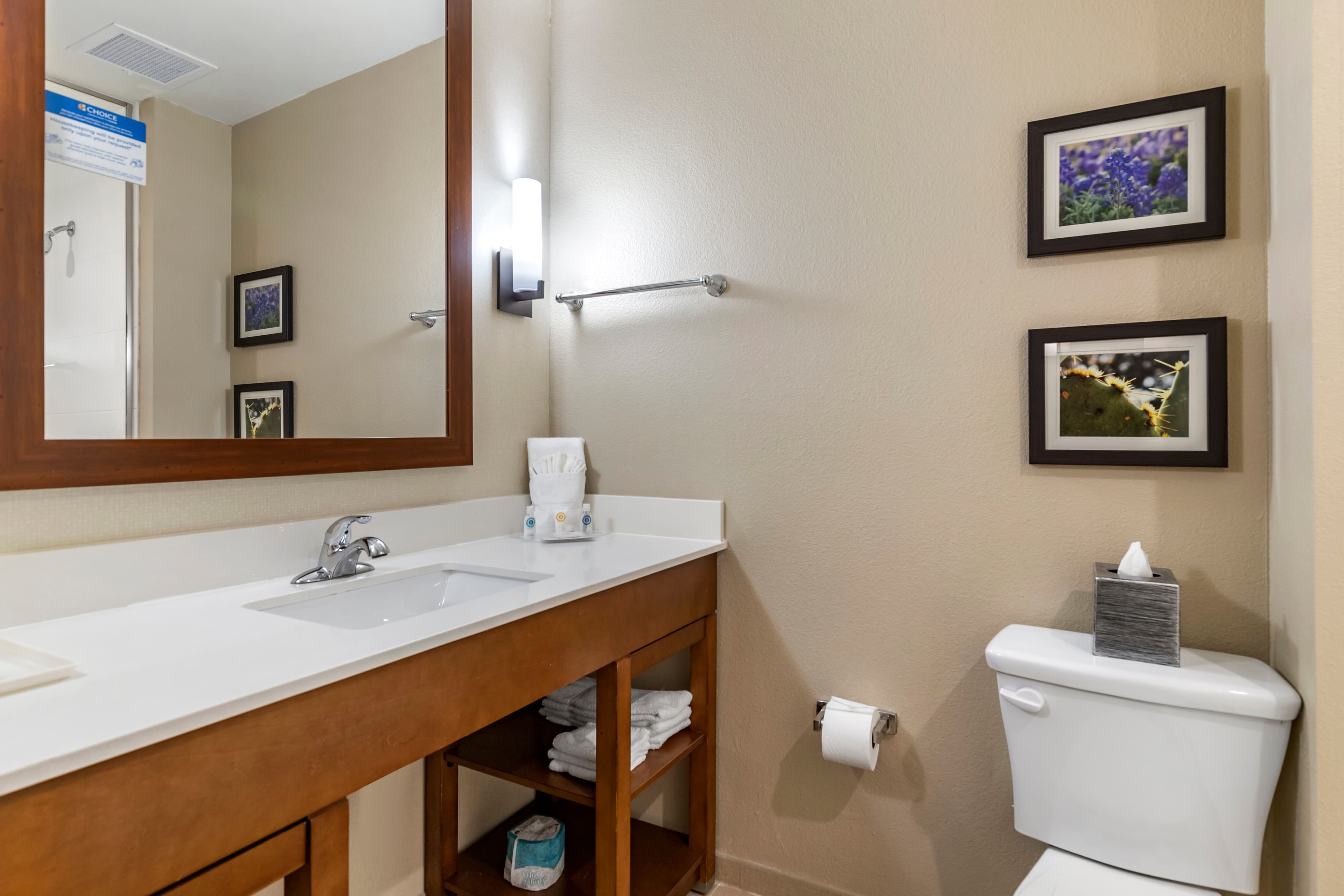 Comfort Suites Kyle — 13