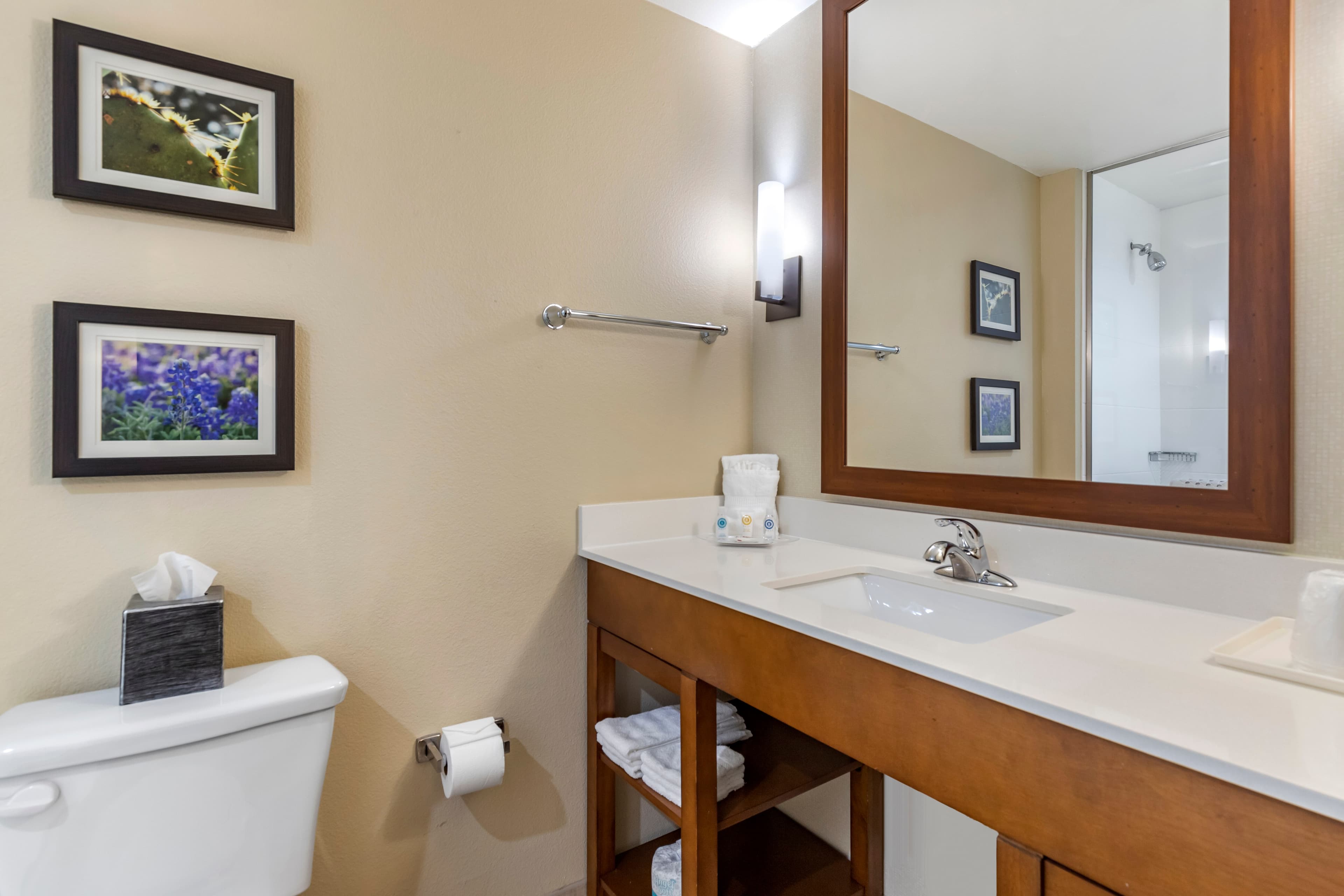 Comfort Suites Kyle — 17