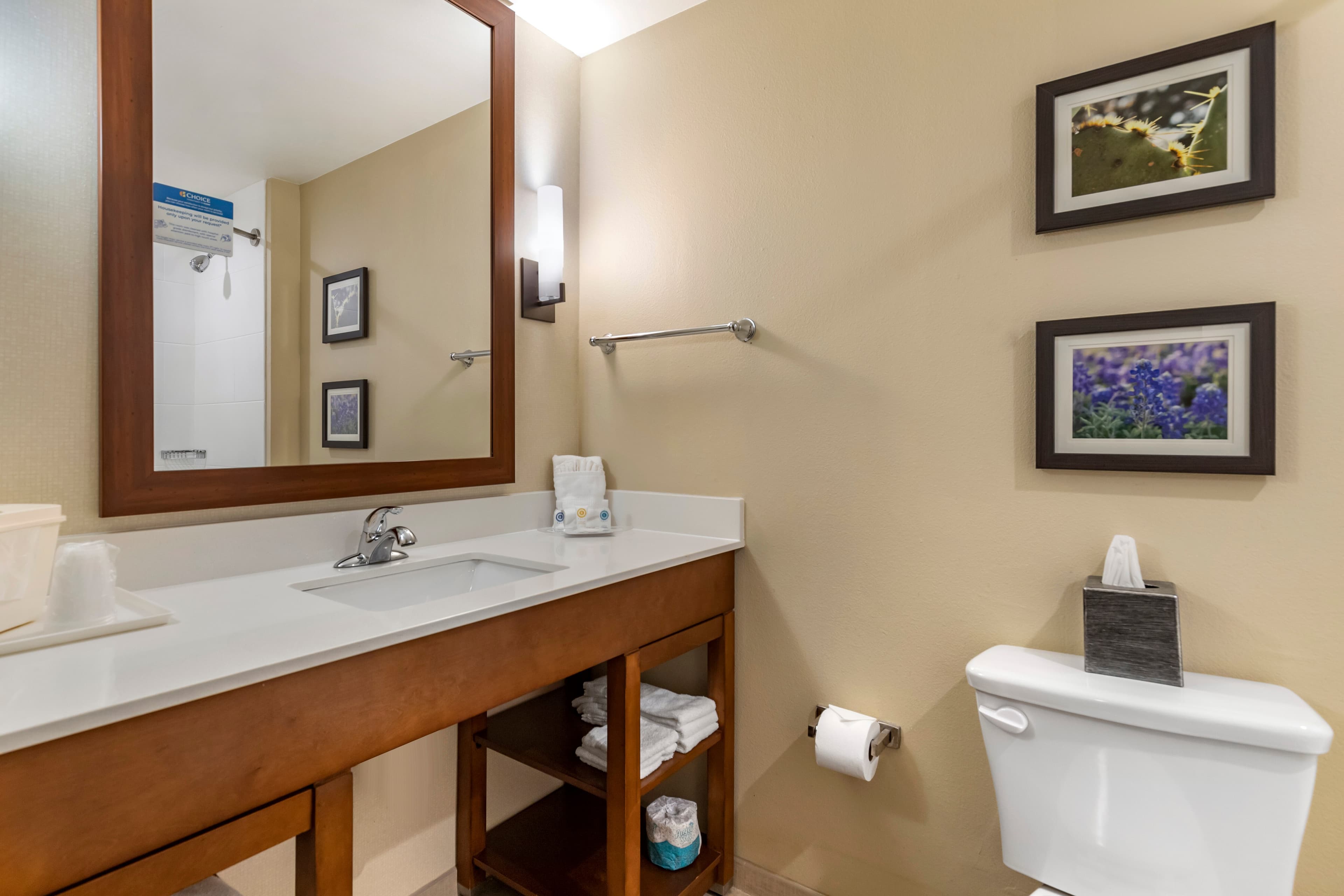 Comfort Suites Kyle — 25