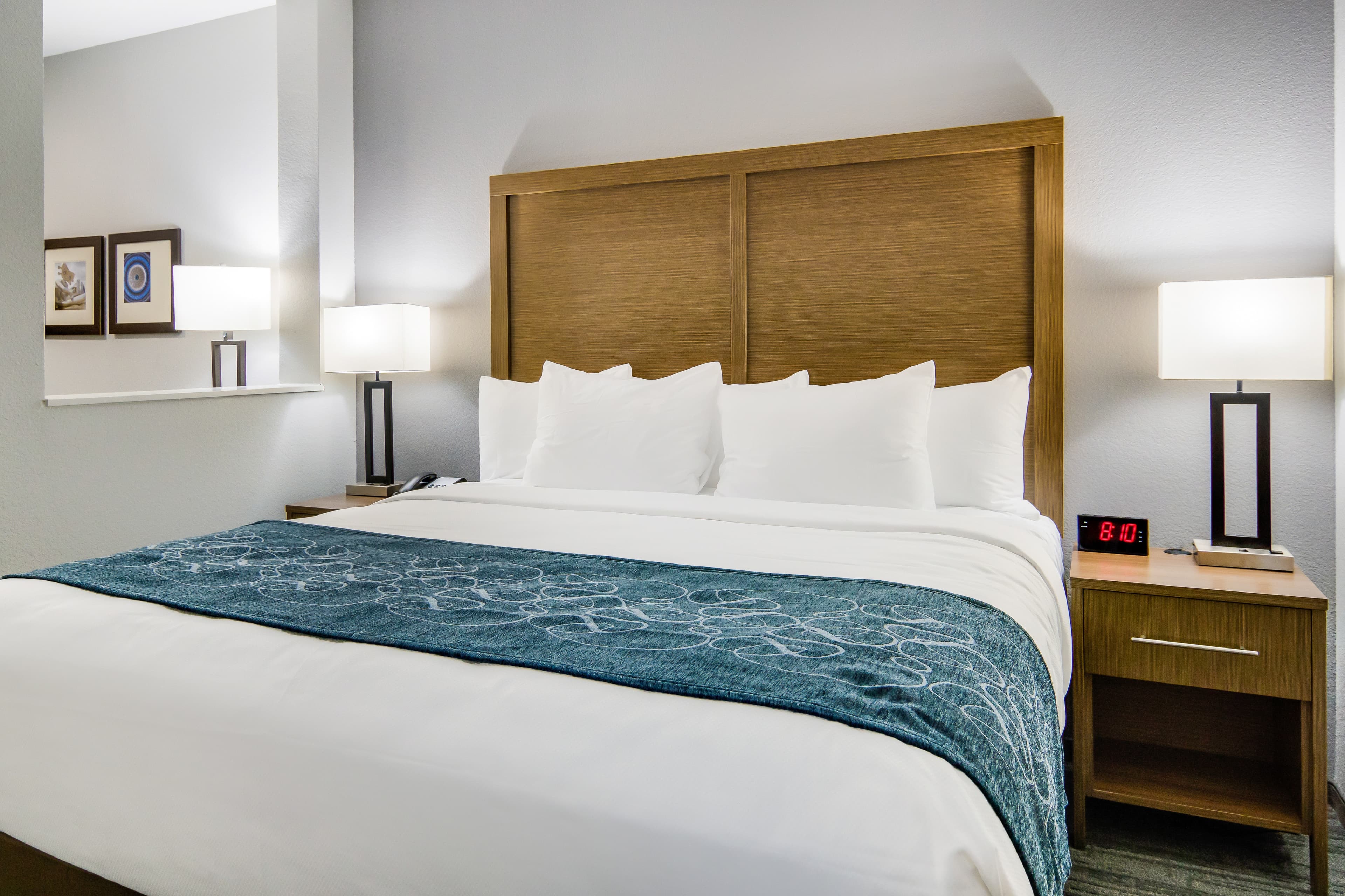 Comfort Suites DeSoto Dallas South — 4