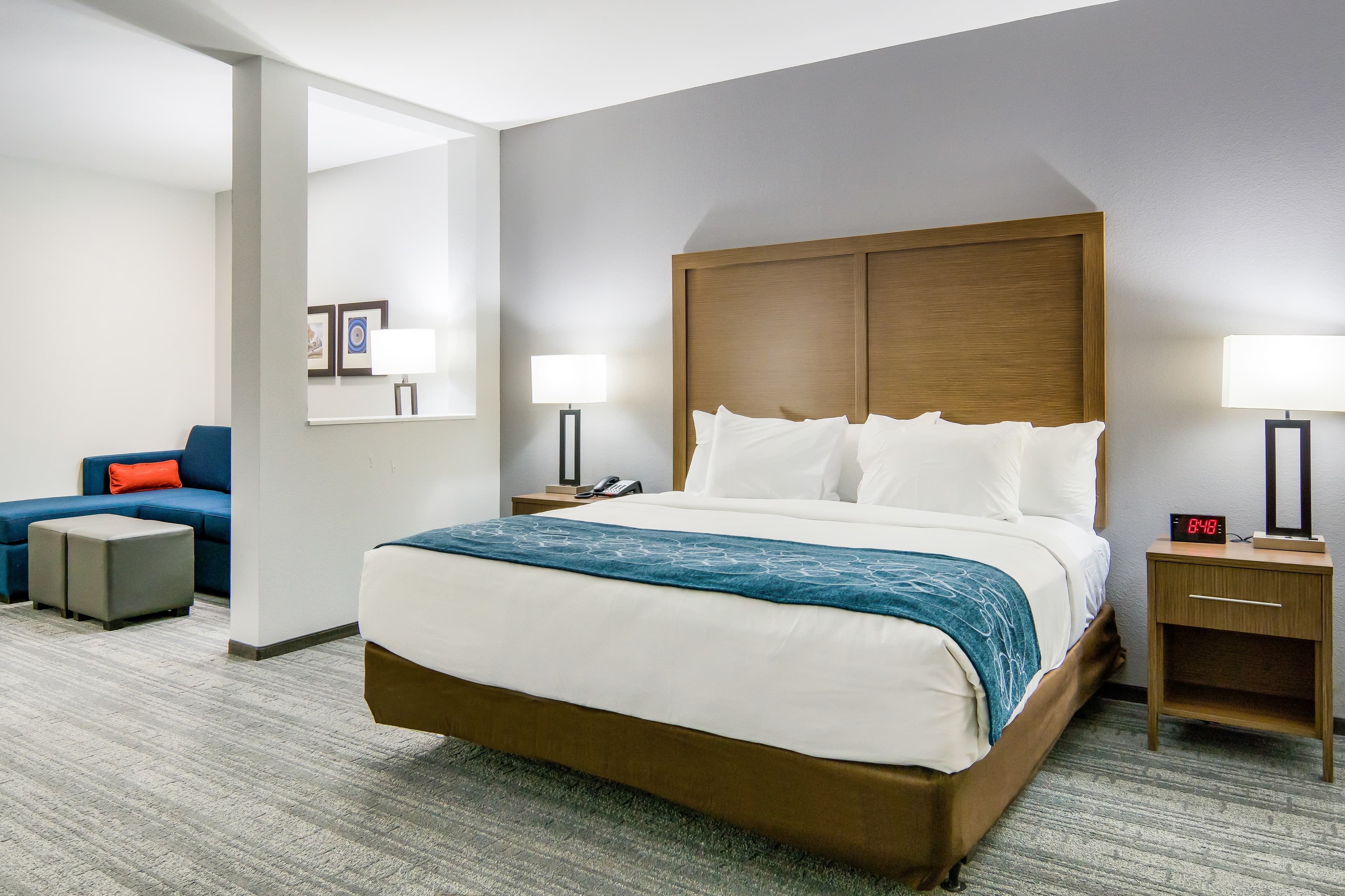 Comfort Suites DeSoto Dallas South — 14
