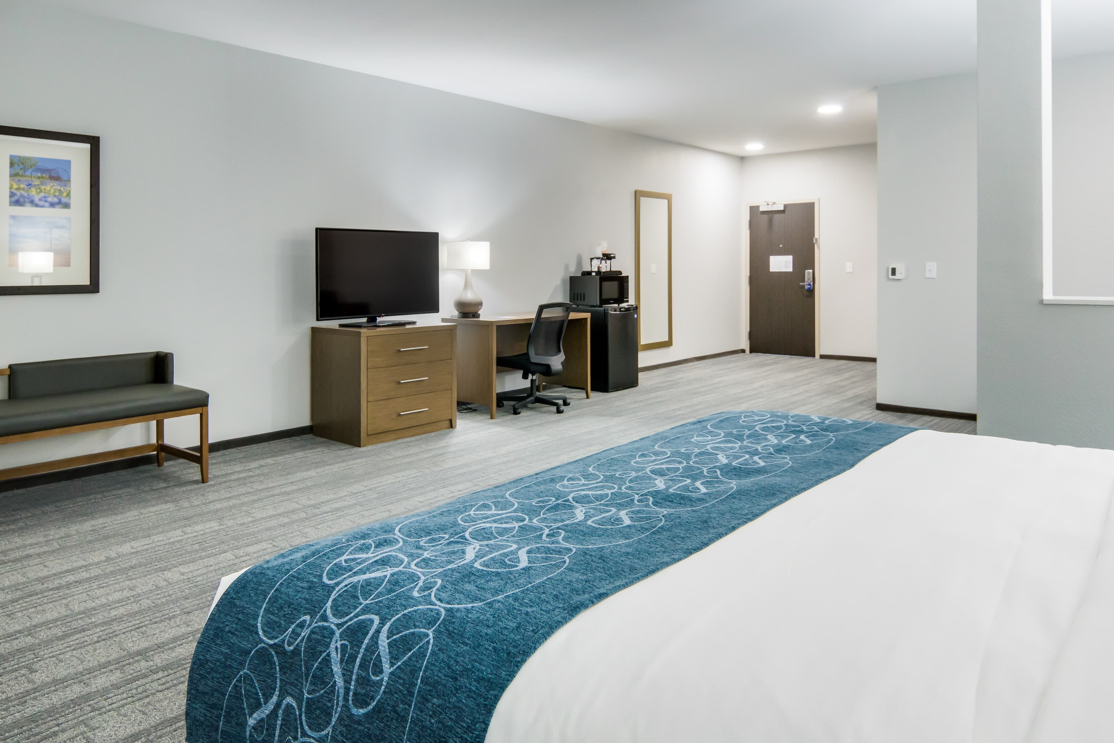 Comfort Suites DeSoto Dallas South — 15