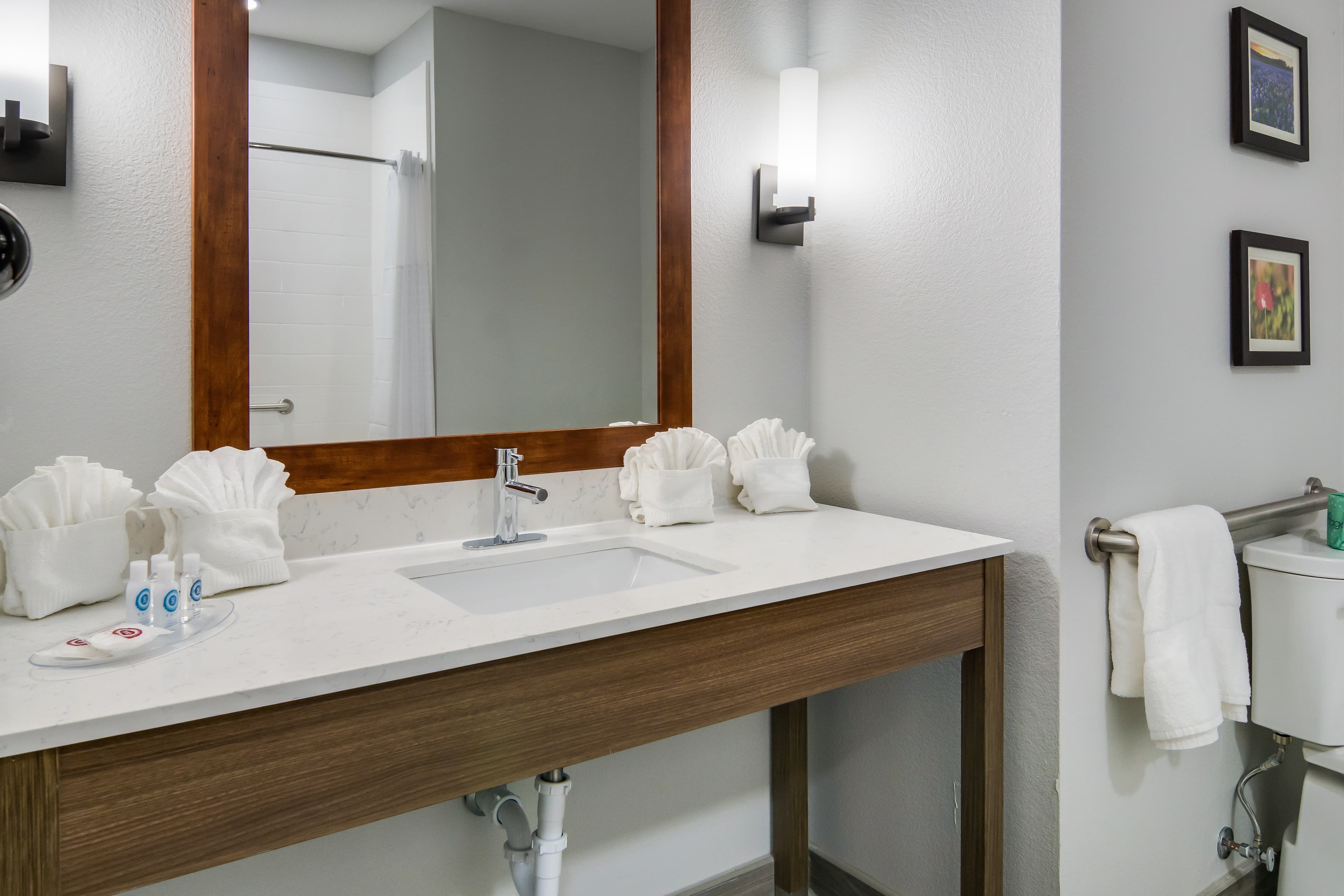 Comfort Suites DeSoto Dallas South — 18