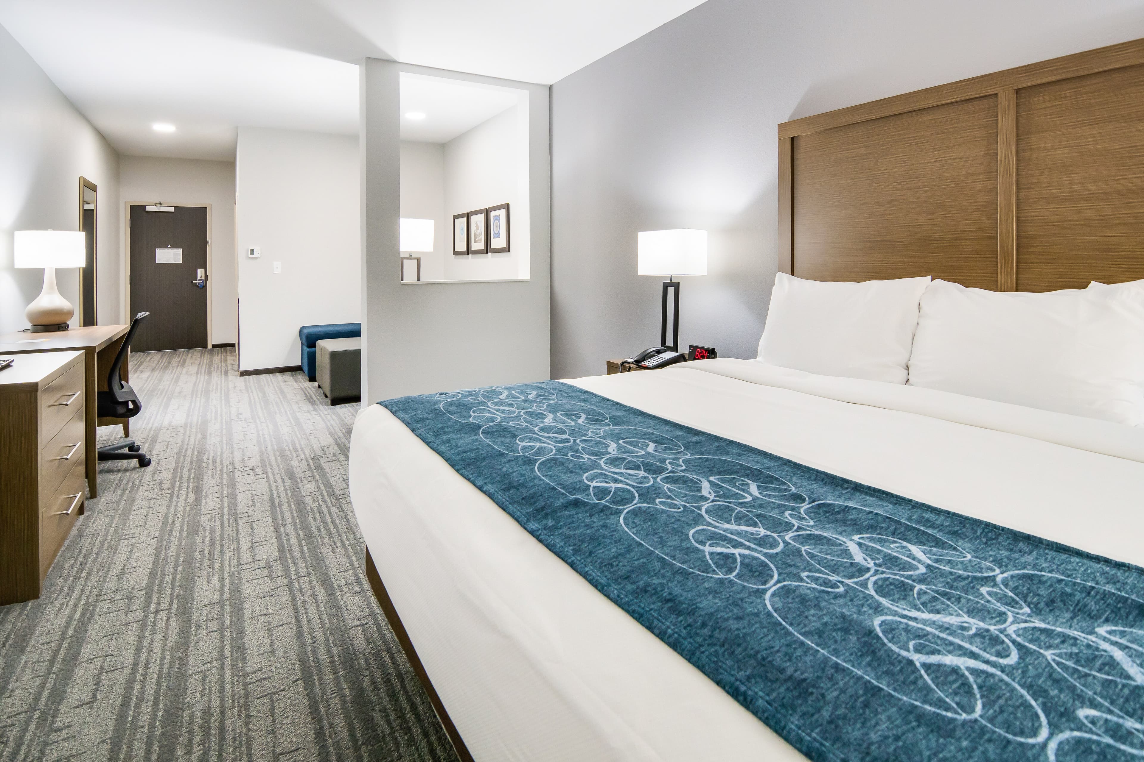 Comfort Suites DeSoto Dallas South — 22