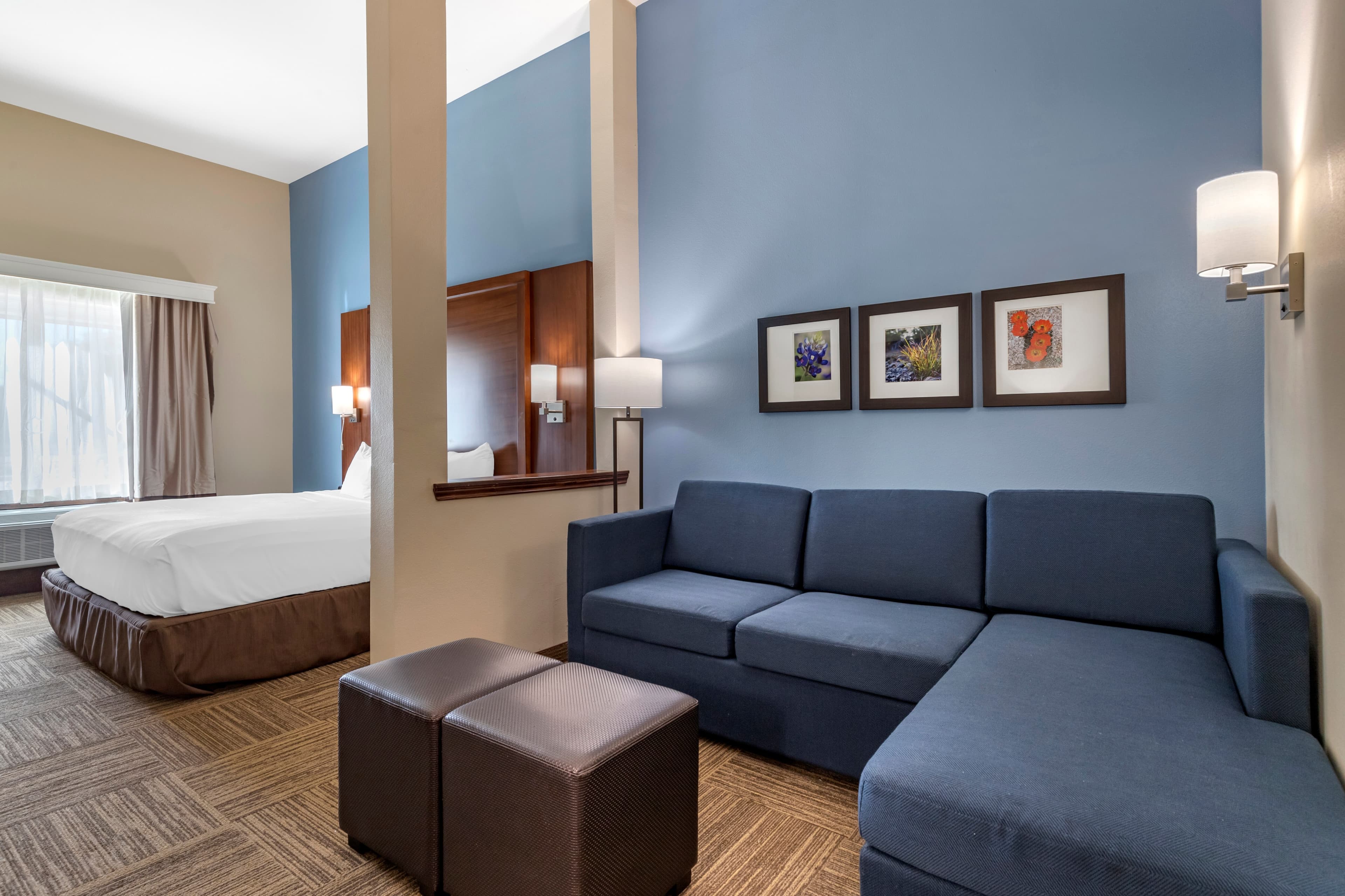 Comfort Suites Cedar Park - Austin Northwest - Image 2