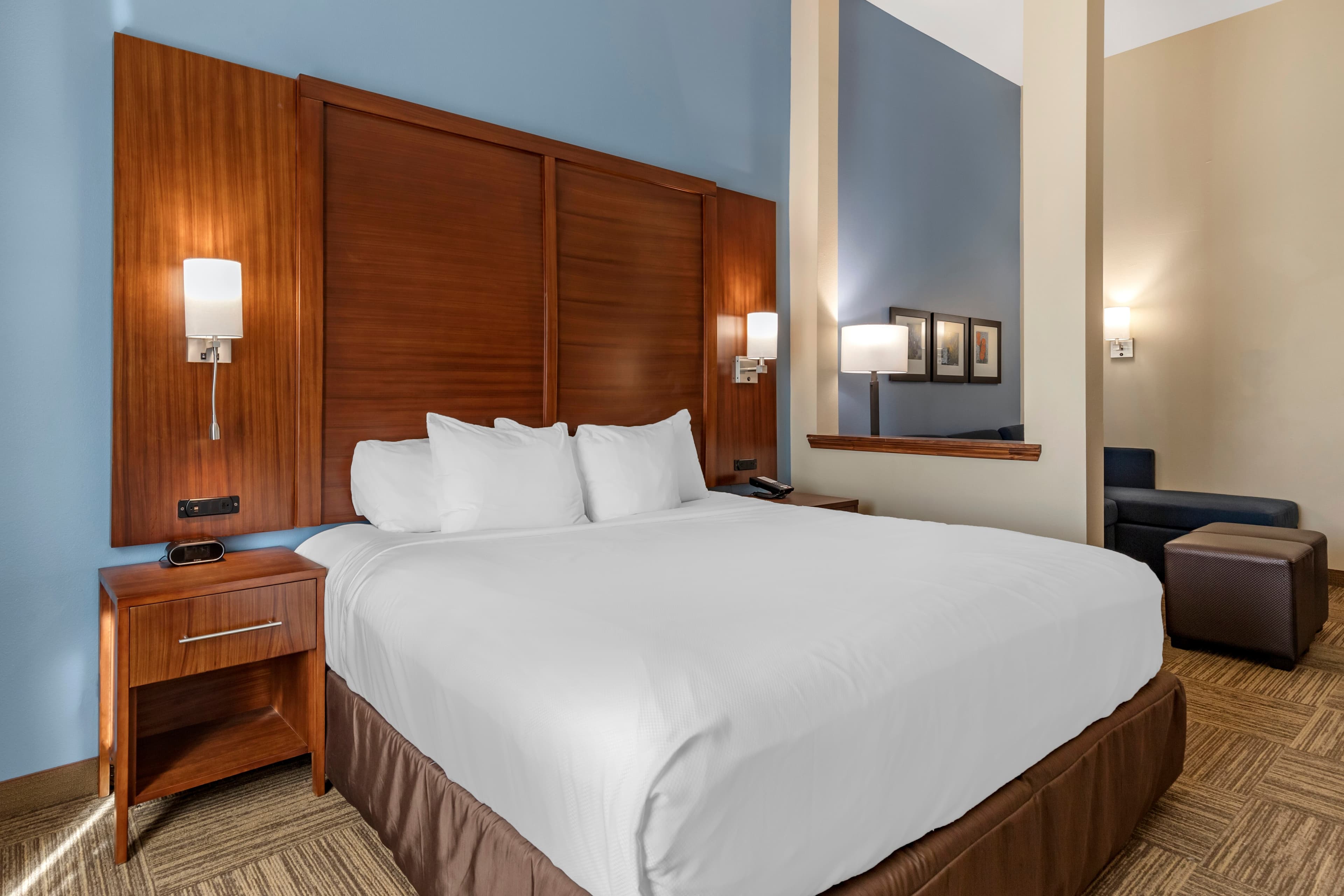 Comfort Suites Cedar Park - Austin Northwest - Image 3